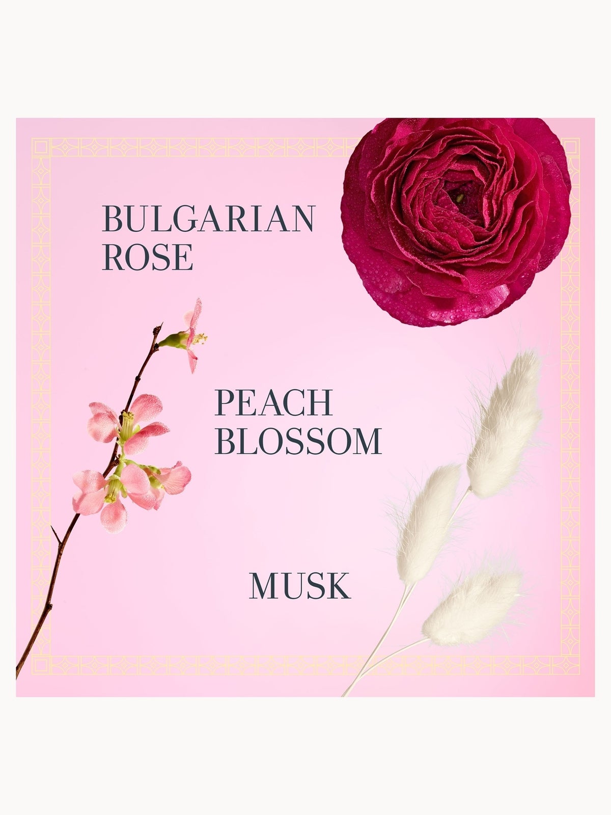Fresh Rose Morning Eau de Parfum 9ml 2