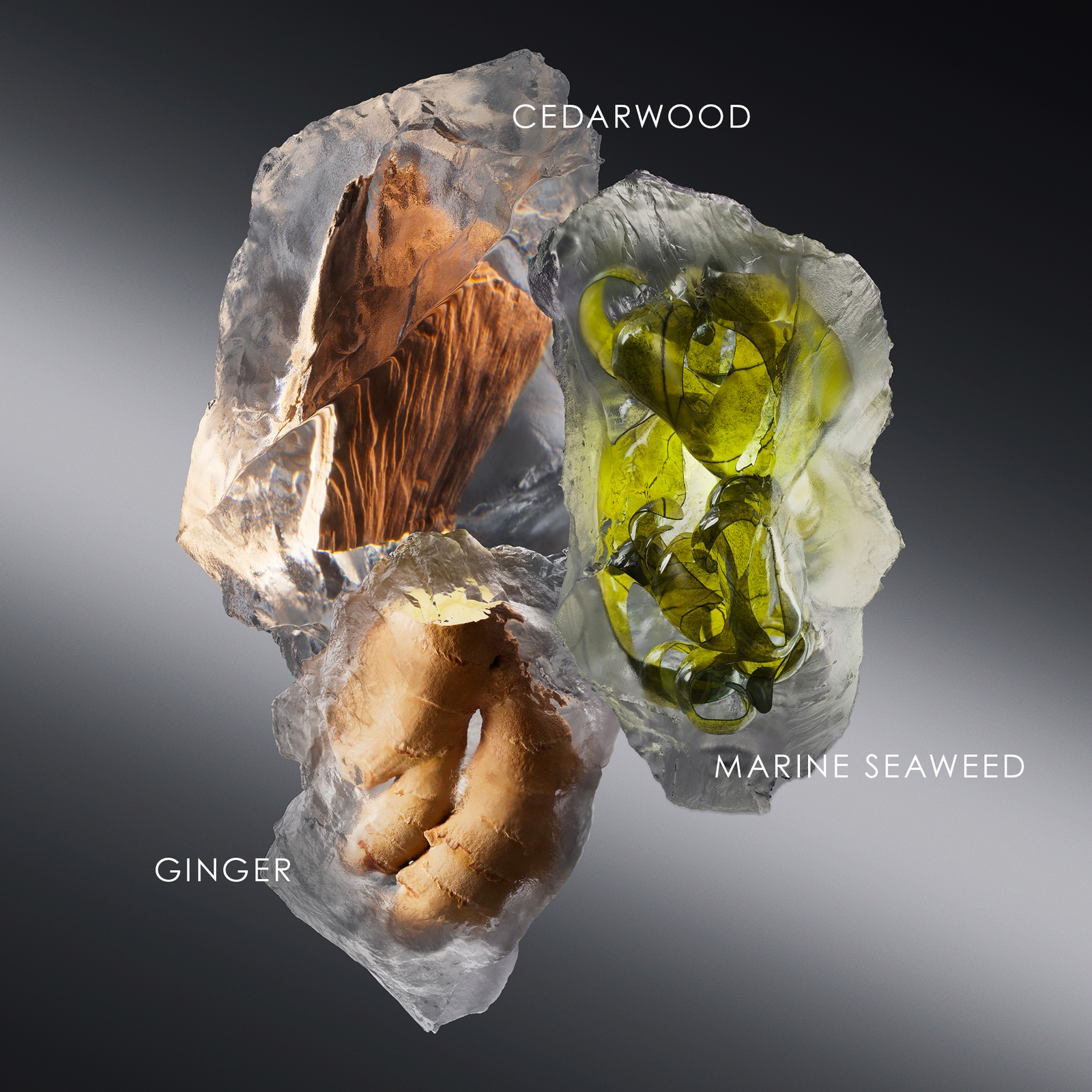 Issey Miyake Le Sel D'issey Eau De Toilette 50 Ml-image