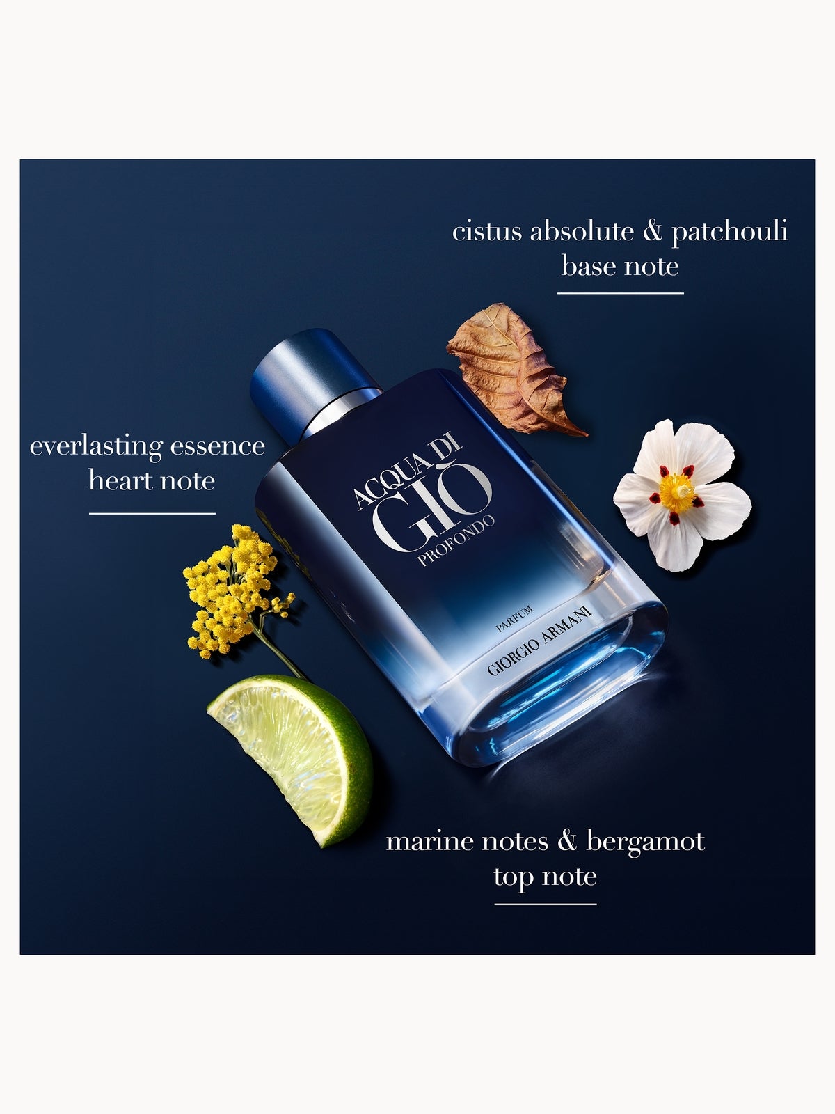 Armani Acqua Di Gio Profondo Parfum Spray 200ml 2