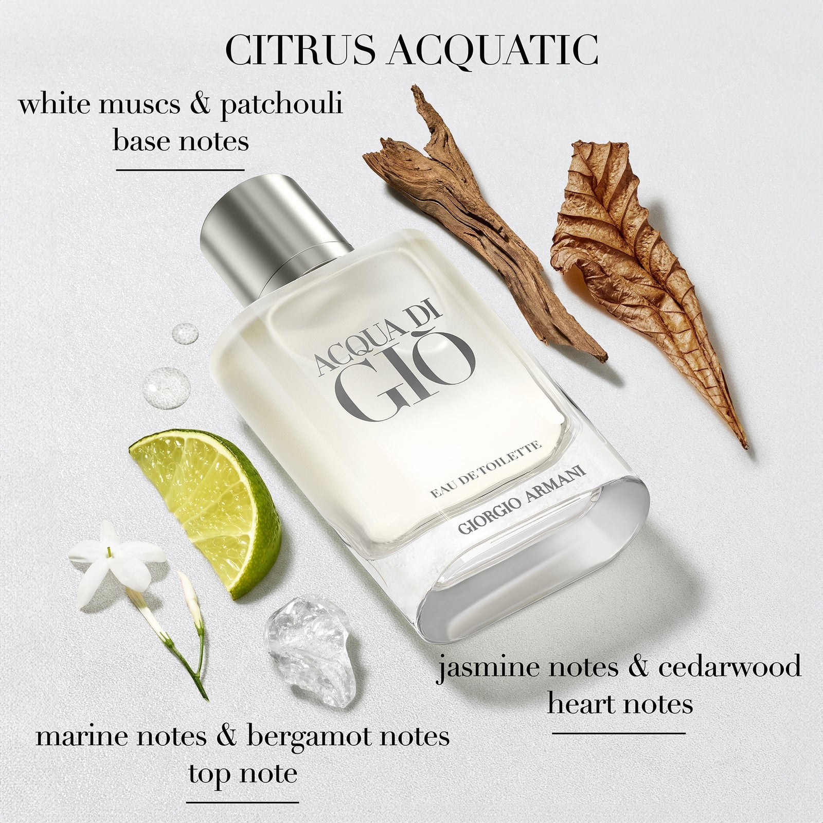 Armani Acqua Di Gio Homme Eau de Toilette 100ml 2