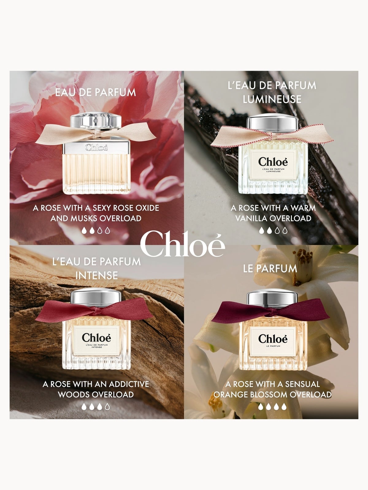 Chloé L’Eau de Parfum Intense for Women 30ml 4