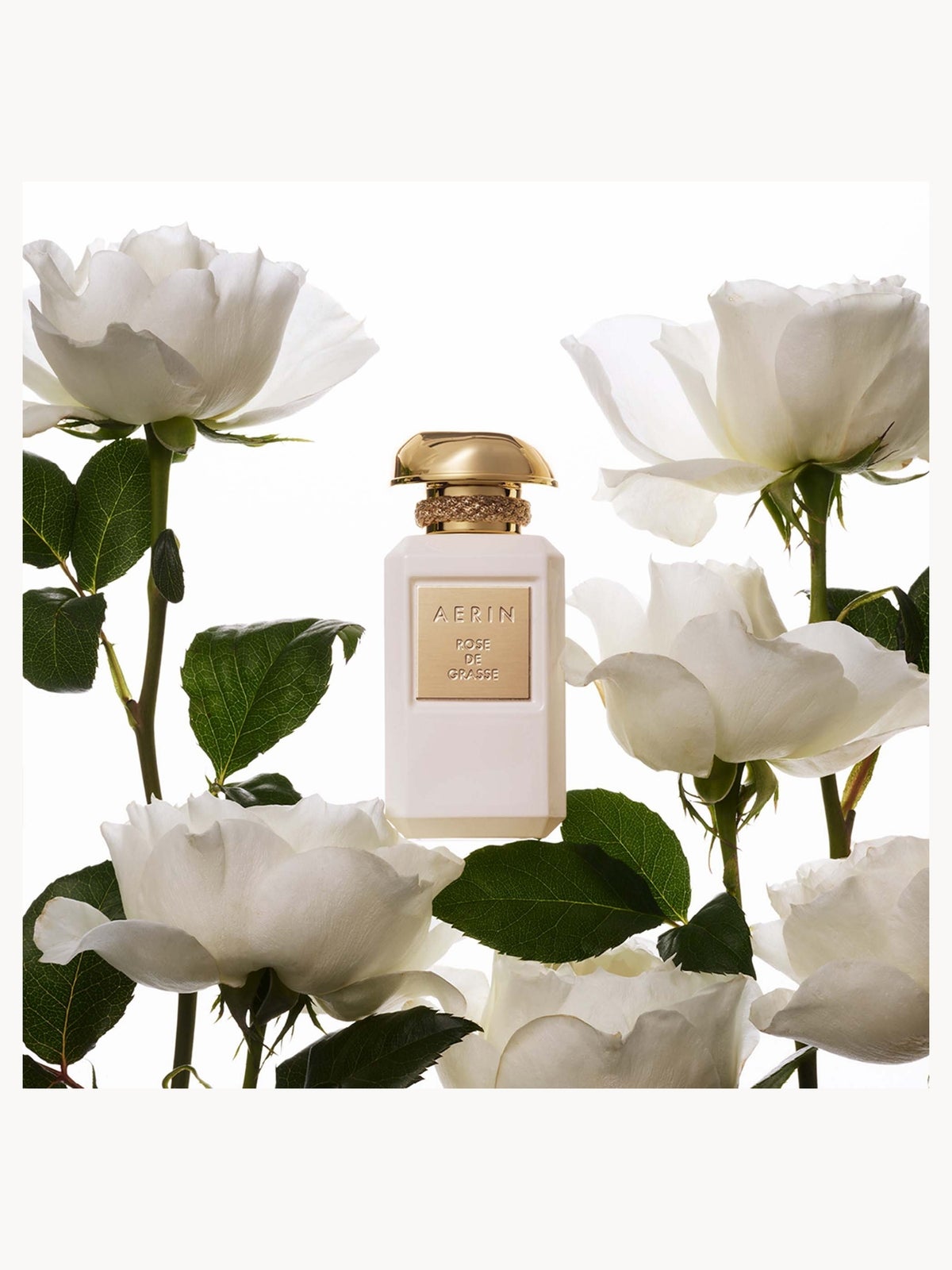 AERIN Rose De Grasse Eau de Parfum 50ml 2
