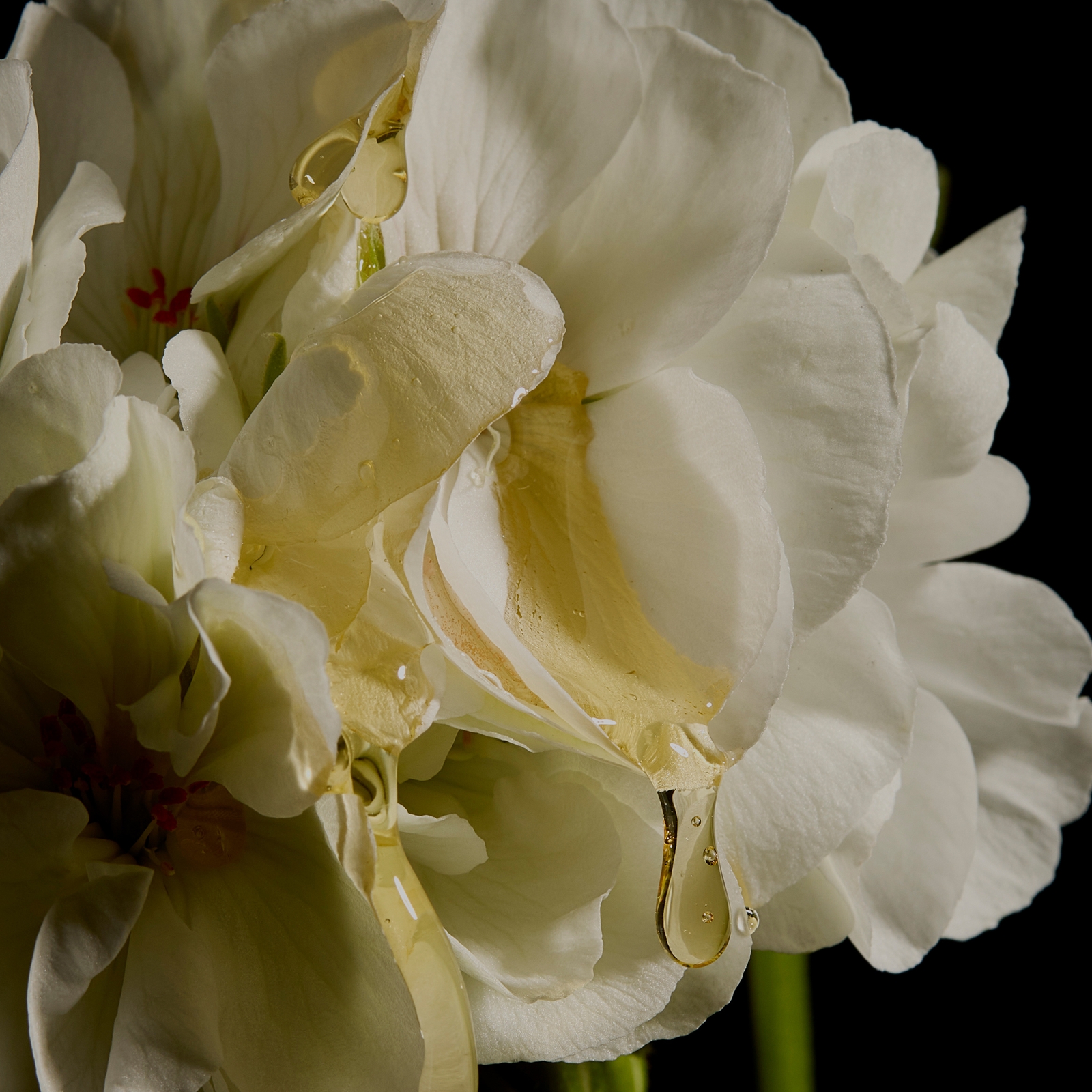 Thumbnail - ESPA Soothing Scented Candle 240g