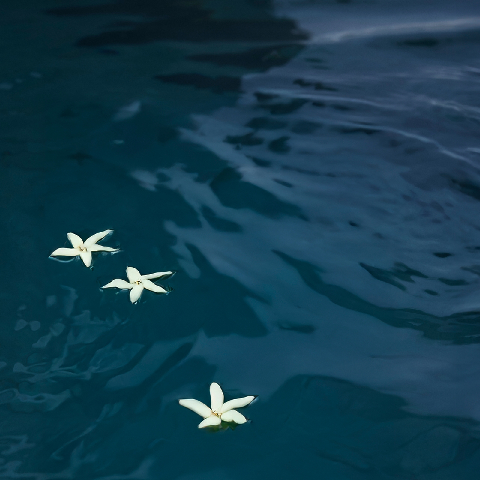 Thumbnail - ESPA Bergamot & Jasmine Scented Candle 240g