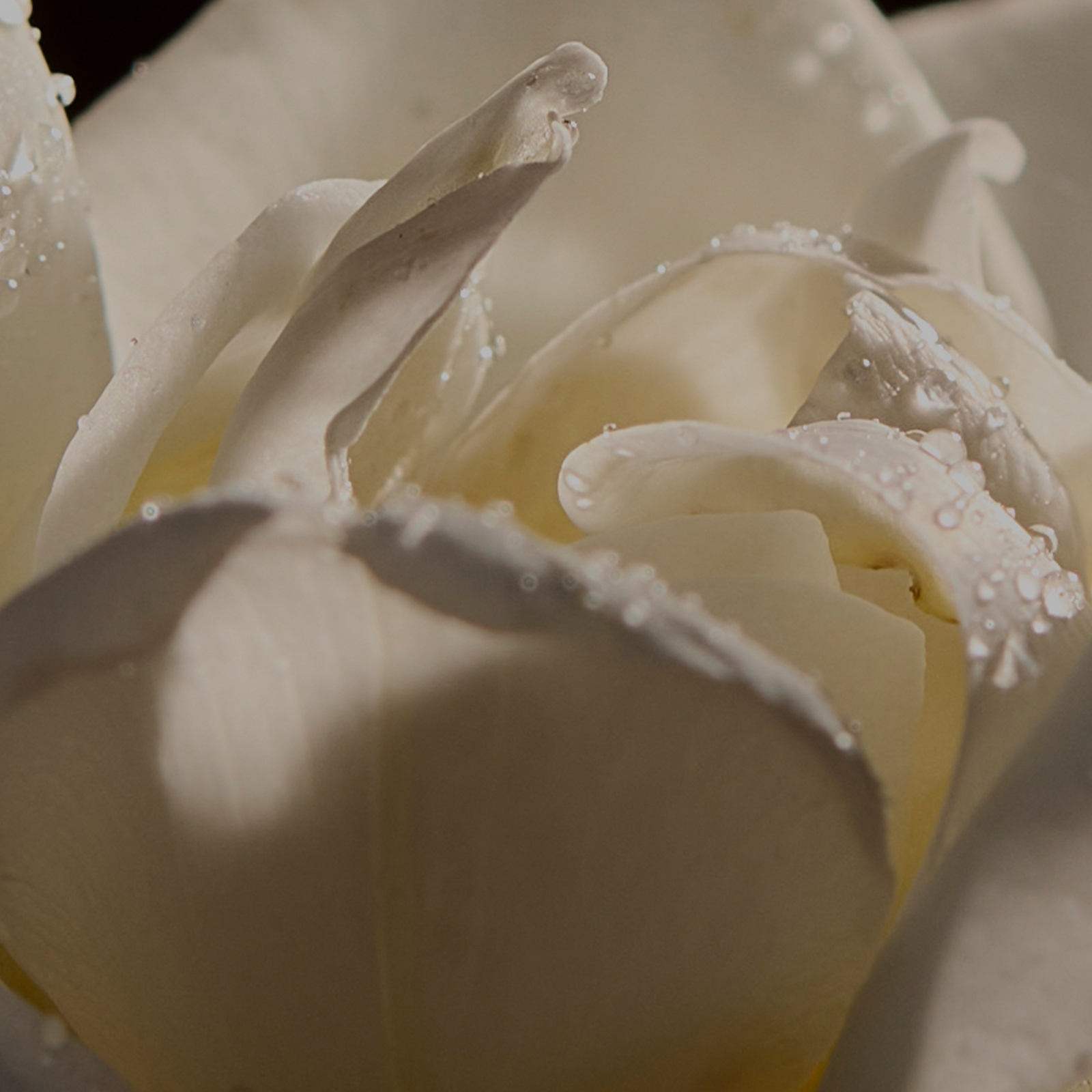 Thumbnail - ESPA Positivity Scented Candle 240g