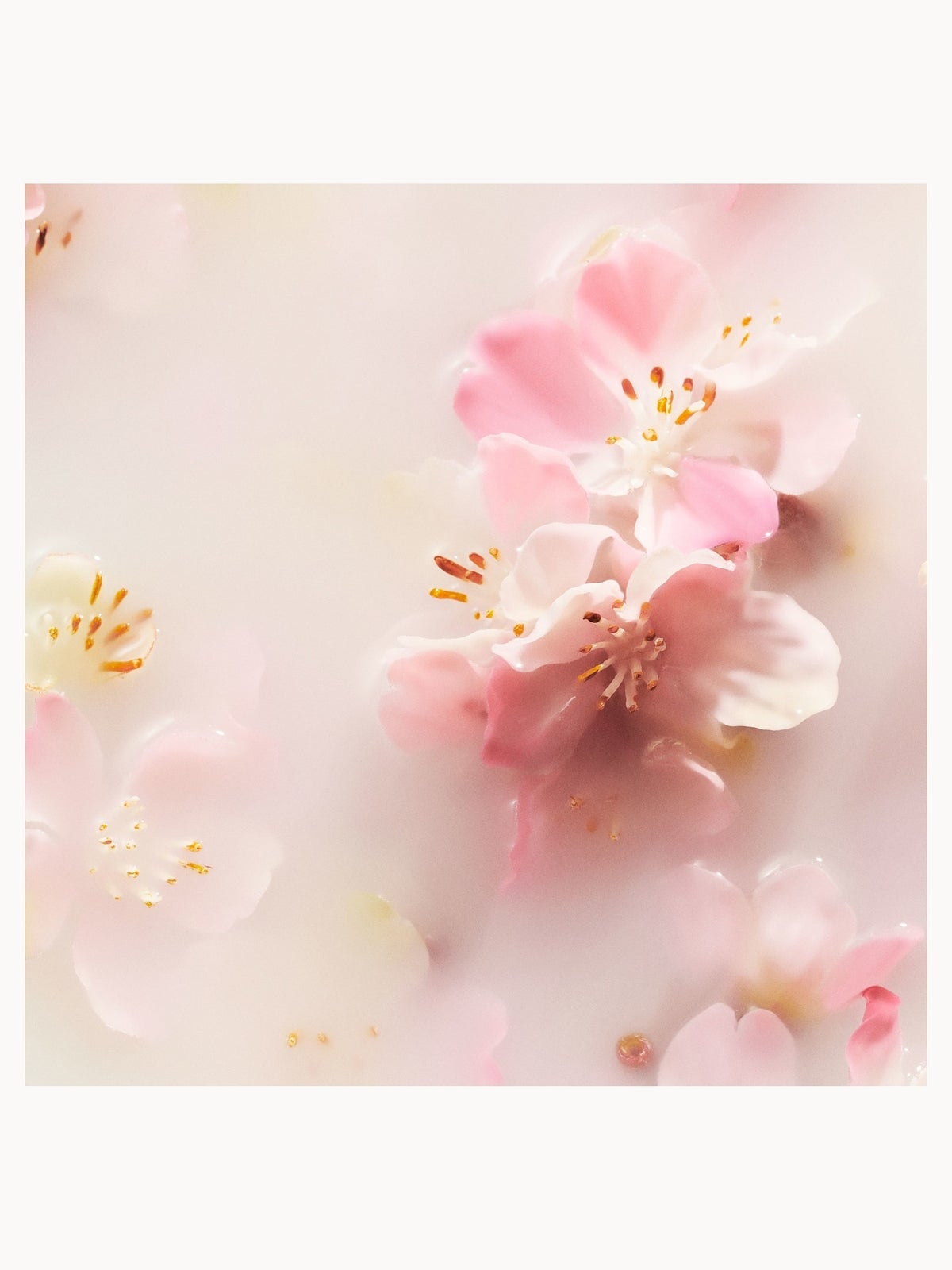 RITUALS The Ritual of Sakura Cherry Blossom & Rice Milk Shampoo & Body Bar 100g, photo 4