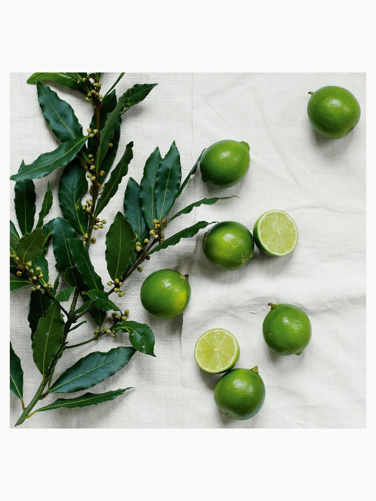 The White Company Lime & Bay Bath & Body Gift Set 3