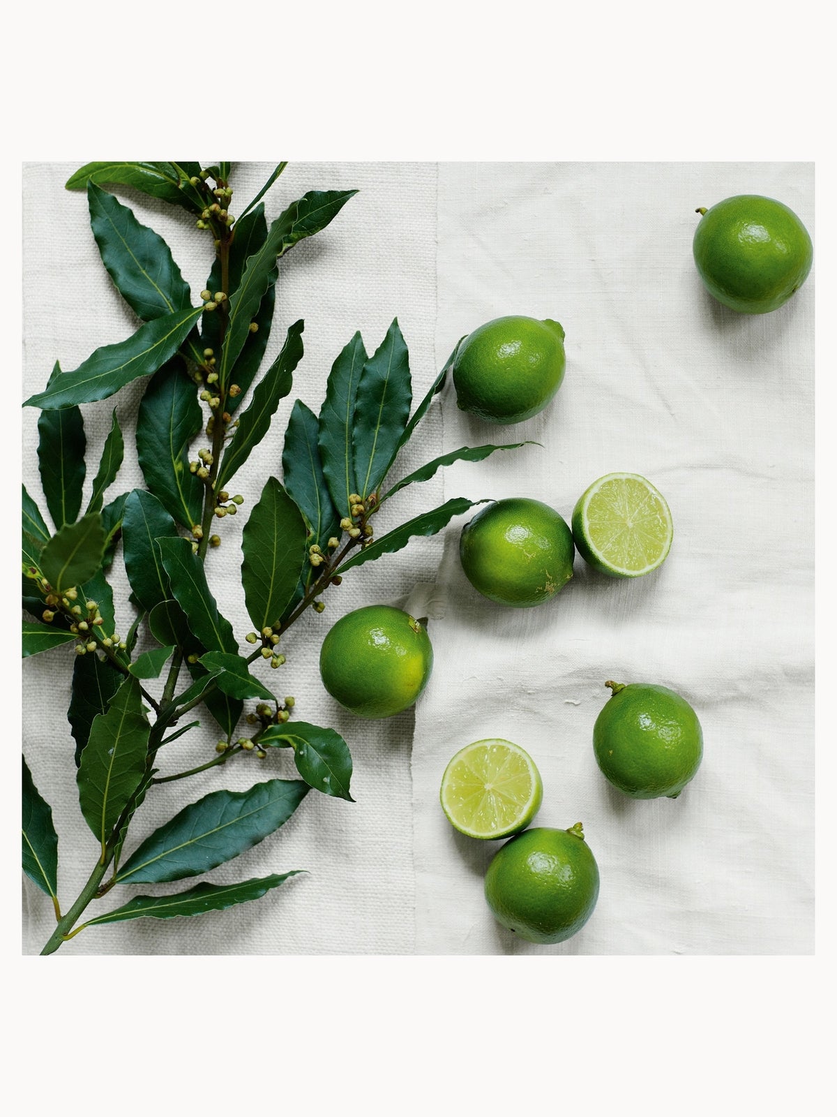 The White Company Lime & Bay Hand & Nail Gift Set 2