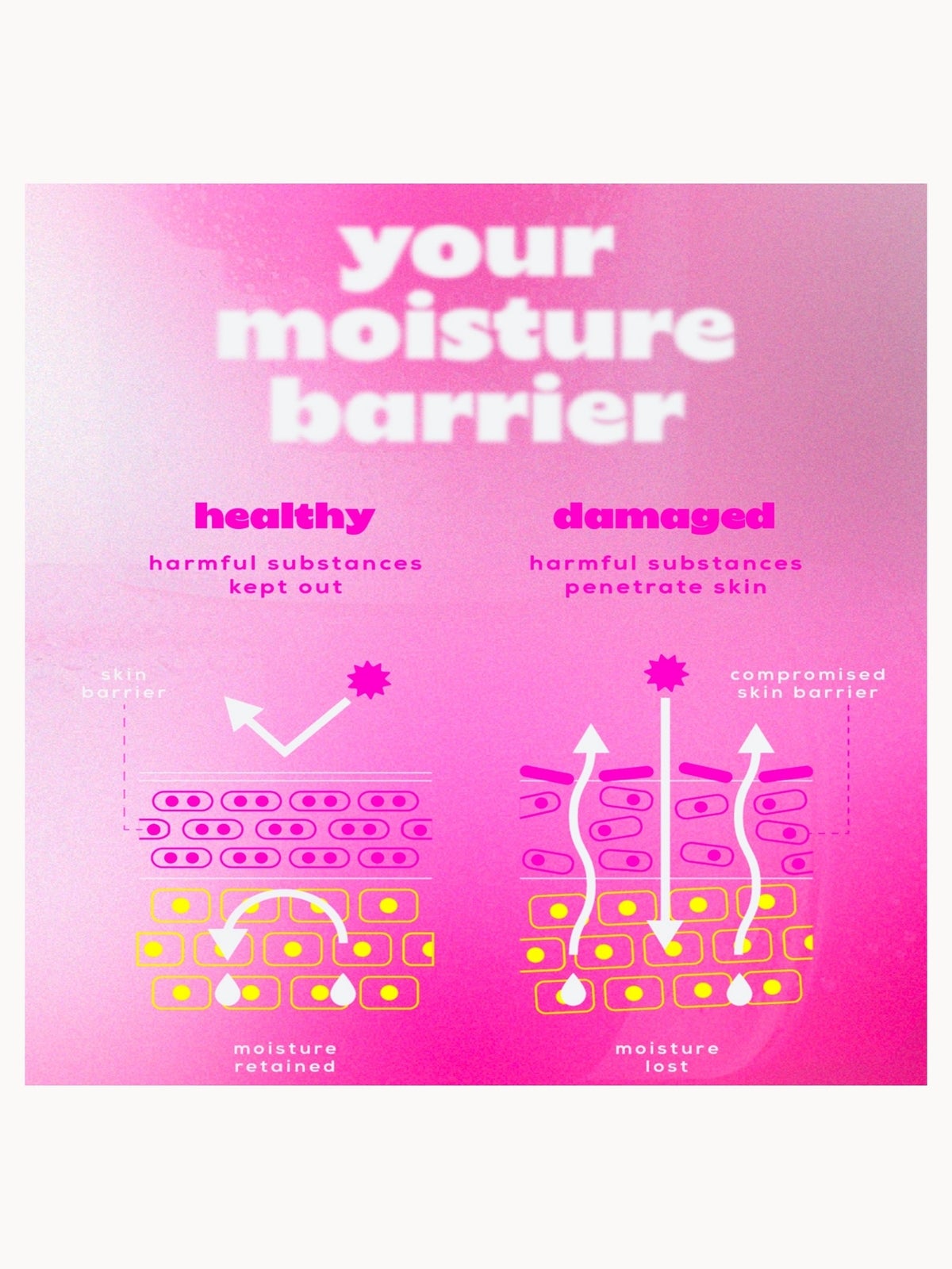 Glow Hub Barrier Builder Facial Mist 90ml 2