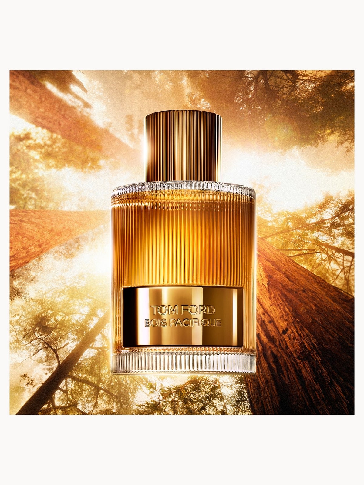 TOM FORD Bois Pacifique Eau de Parfum 100ml 4