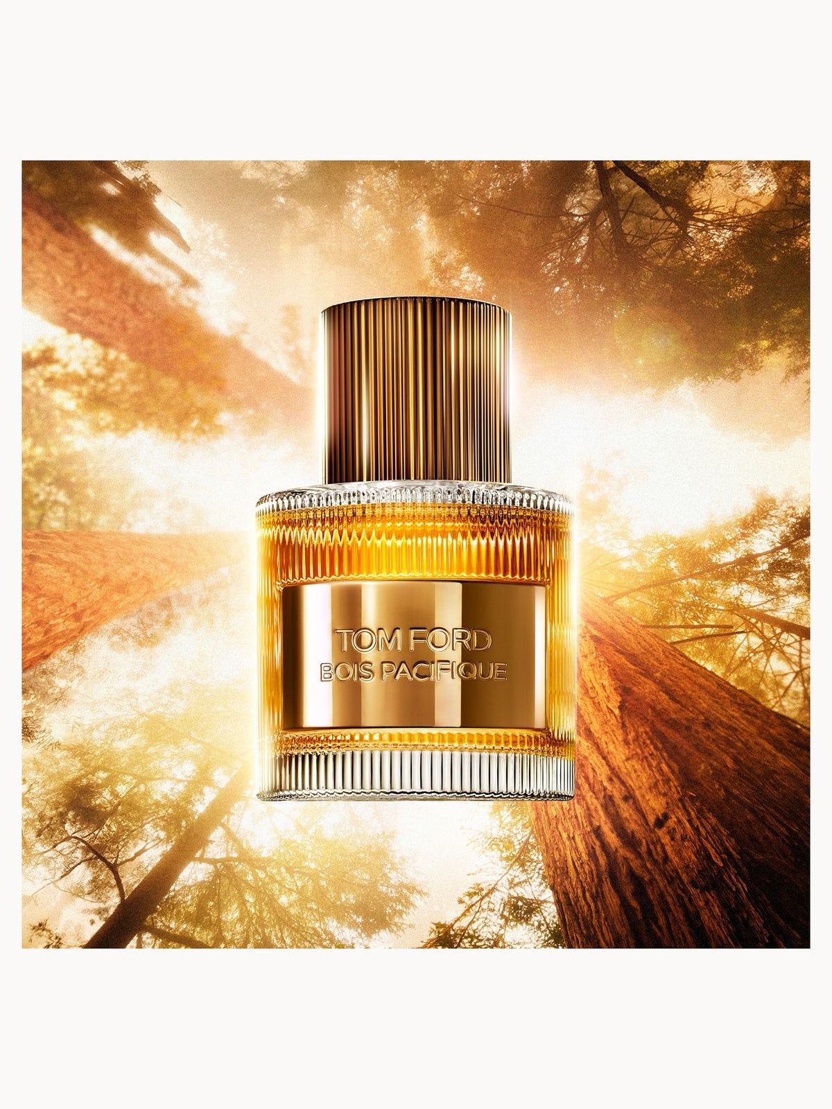 TOM FORD Bois Pacifique Eau de Parfum 50ml 4