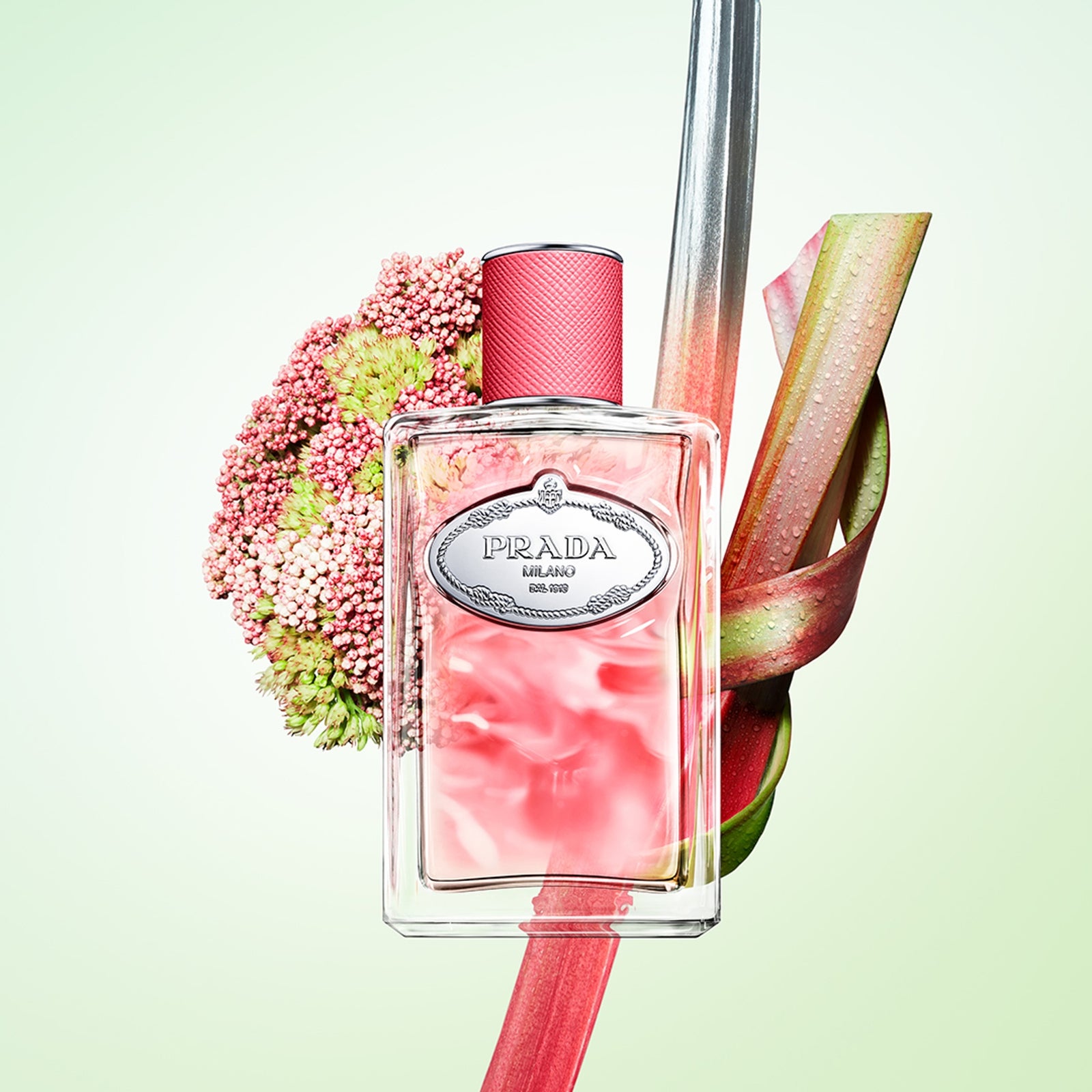 Prada Infusions Rhubarbe Eau de Parfum 100ml 3