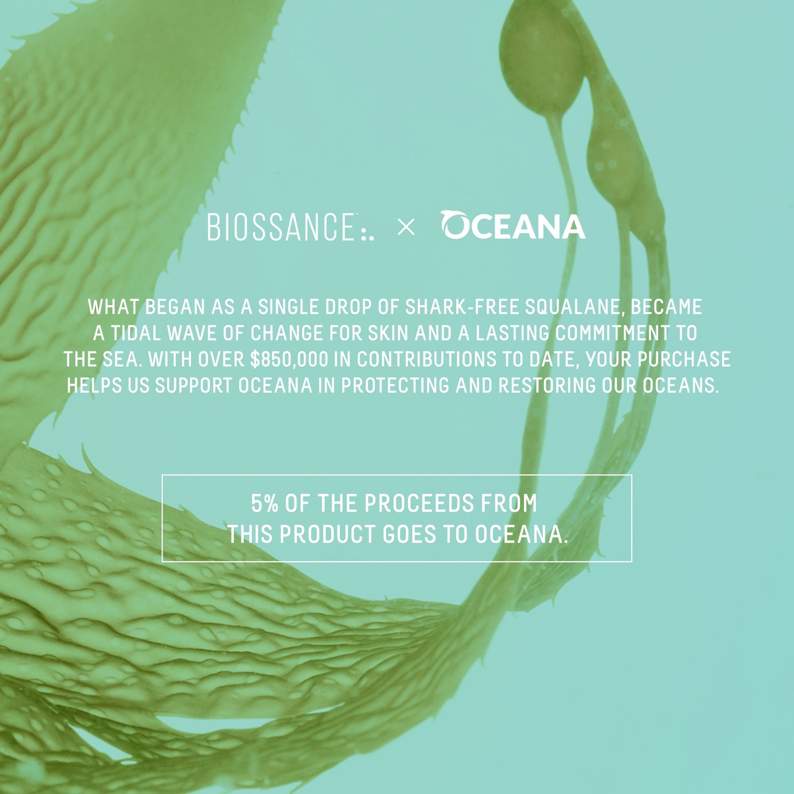 Thumbnail - Biossance Omega Repair Cream 50ml Ltd Ed