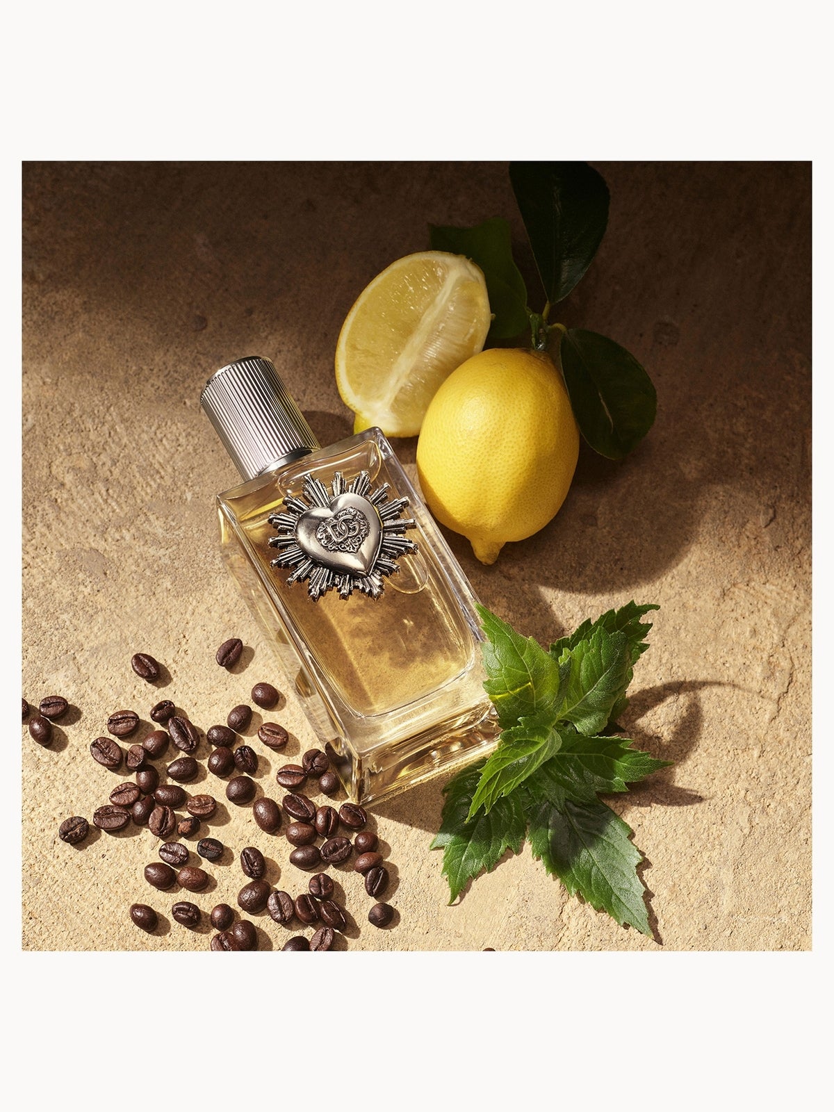Dolce&Gabbana Devotion for Men Eau de Parfum Spray 50ml 3
