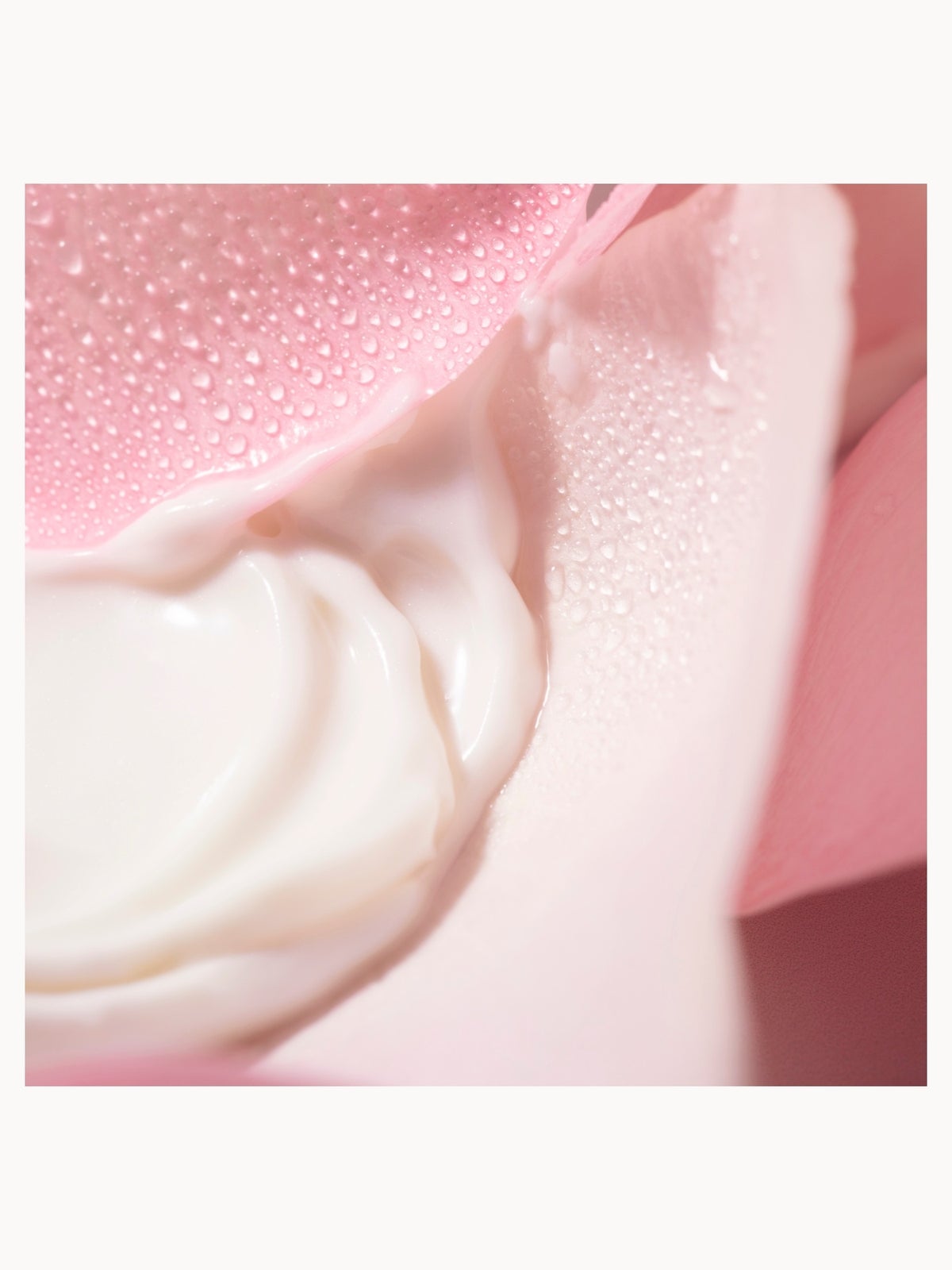 NUXE Very Rose Creamy Cleansing Milk 200ml 3