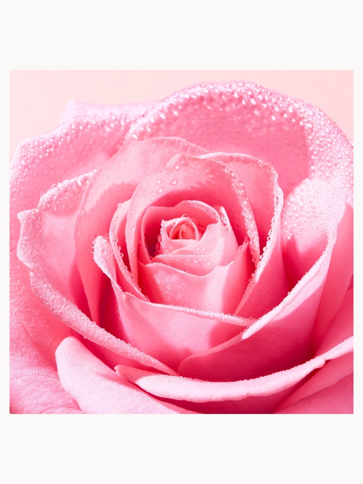 NUXE Very Rose Soothing Hand and Nail Cream 50ml 2