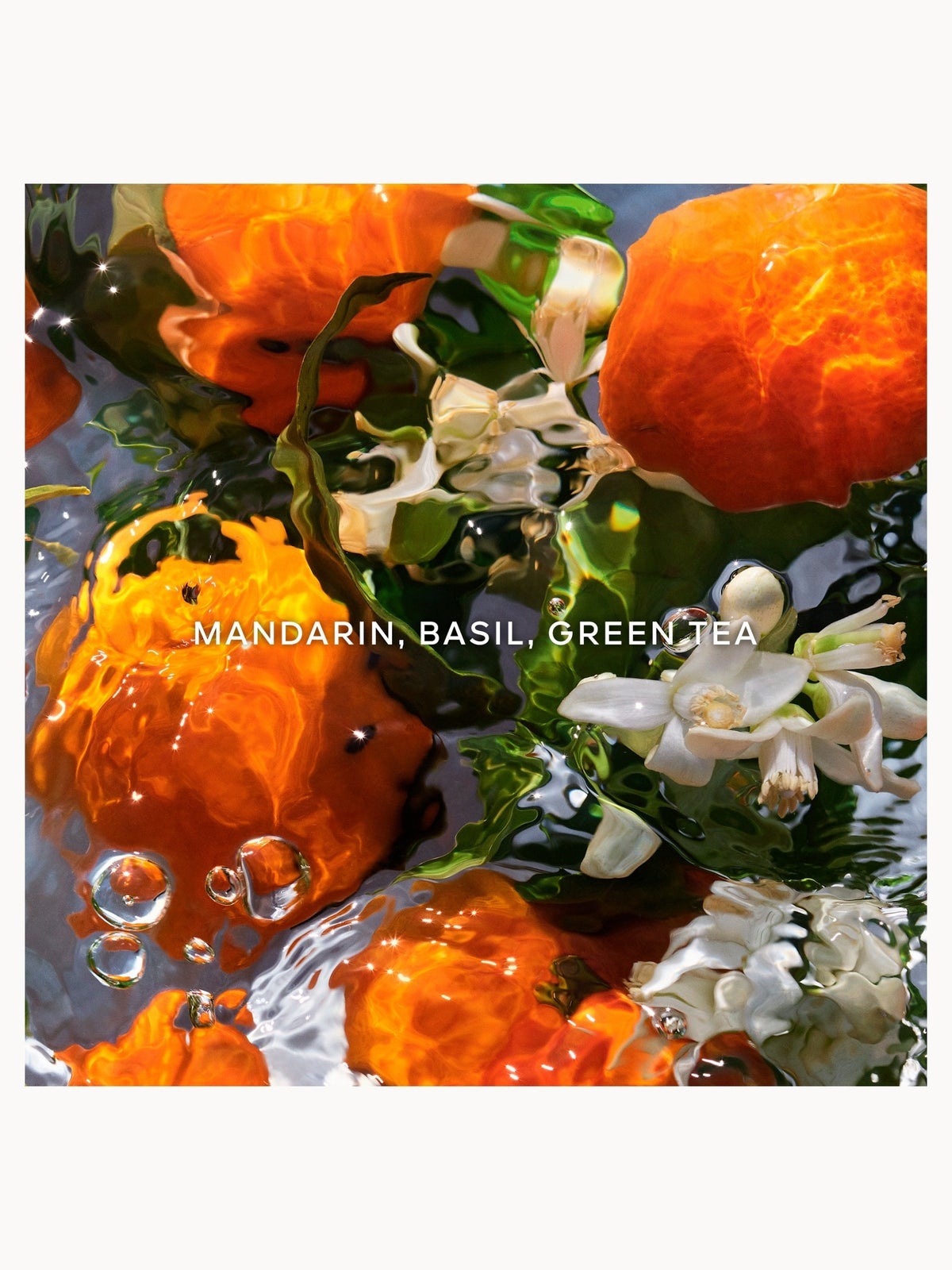 GUERLAIN Aqua Allegoria Mandarine Basilic Hand Cream 50ml 4