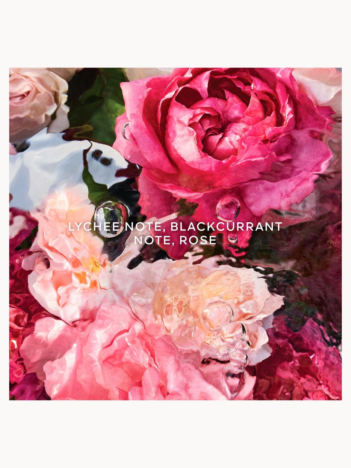 GUERLAIN Aqua Allegoria Rosa Rossa Hand Cream 50ml 4