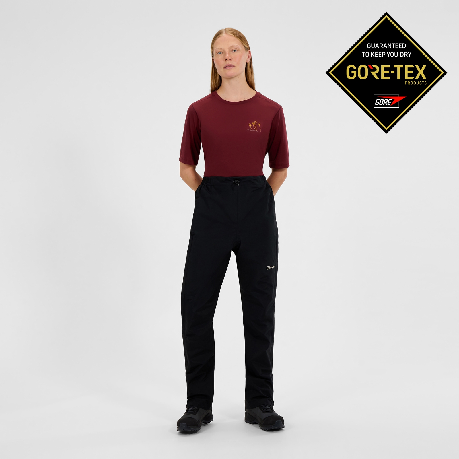 Image of Women's Hillwalker Gore-Tex Pant - Black
