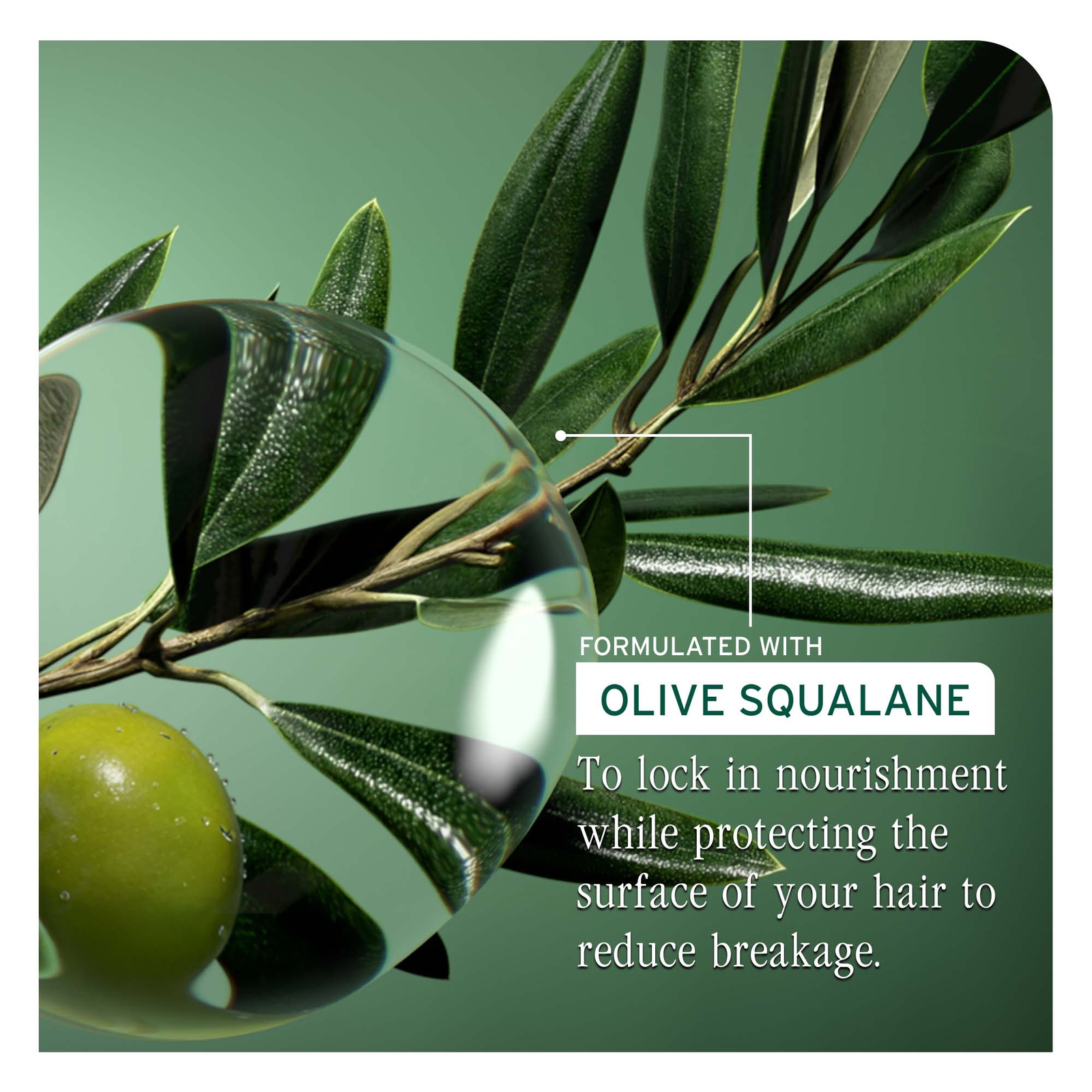 Thumbnail - Biolage Strength Recovery Repairing Spray 250ml