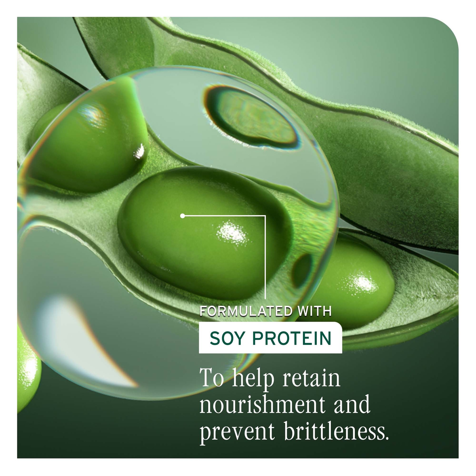 Thumbnail - Biolage Volume Boost Shampoo 400ml