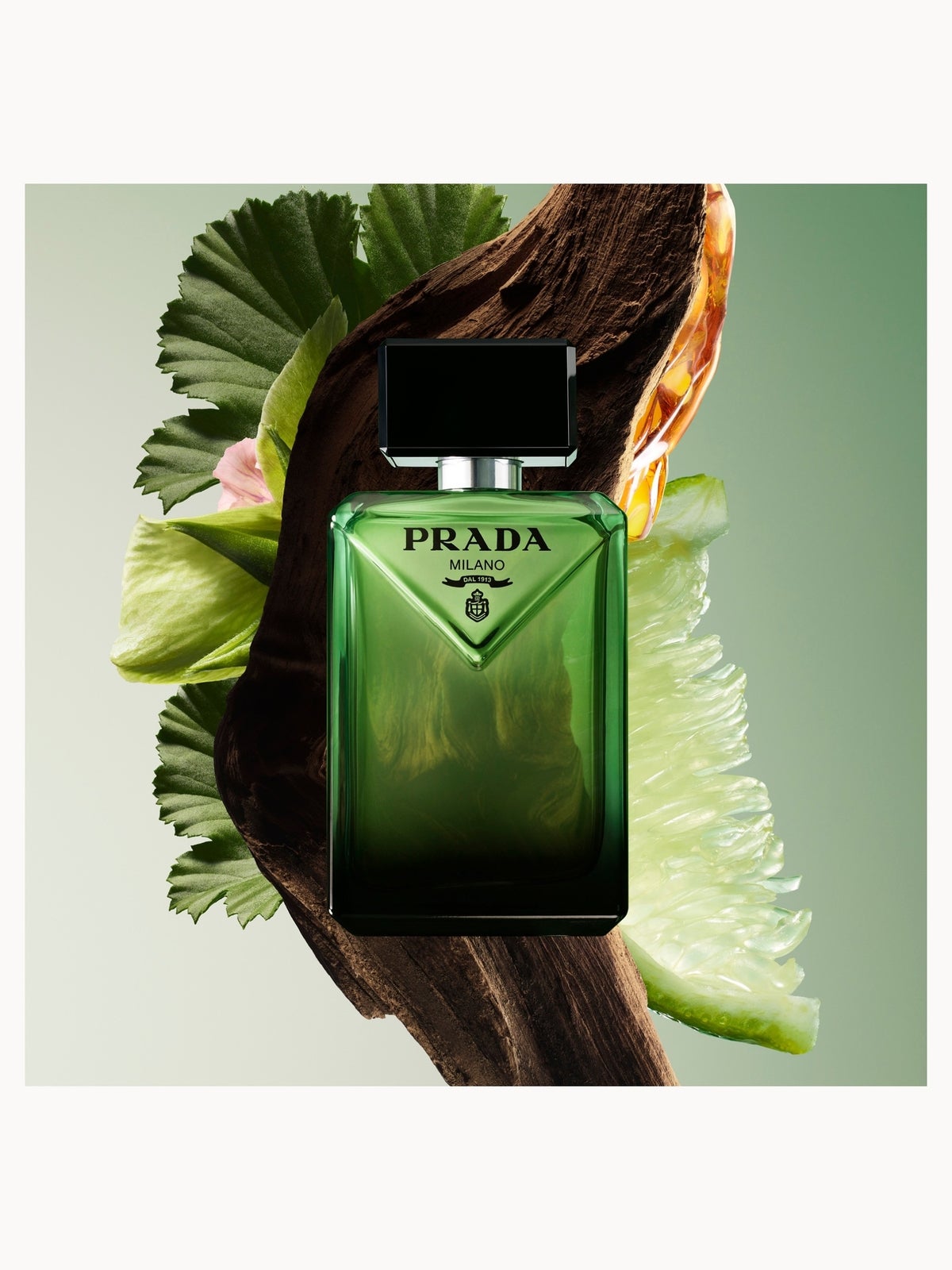 Prada Paradigme Eau de Parfum 100ml Spray, photo 3