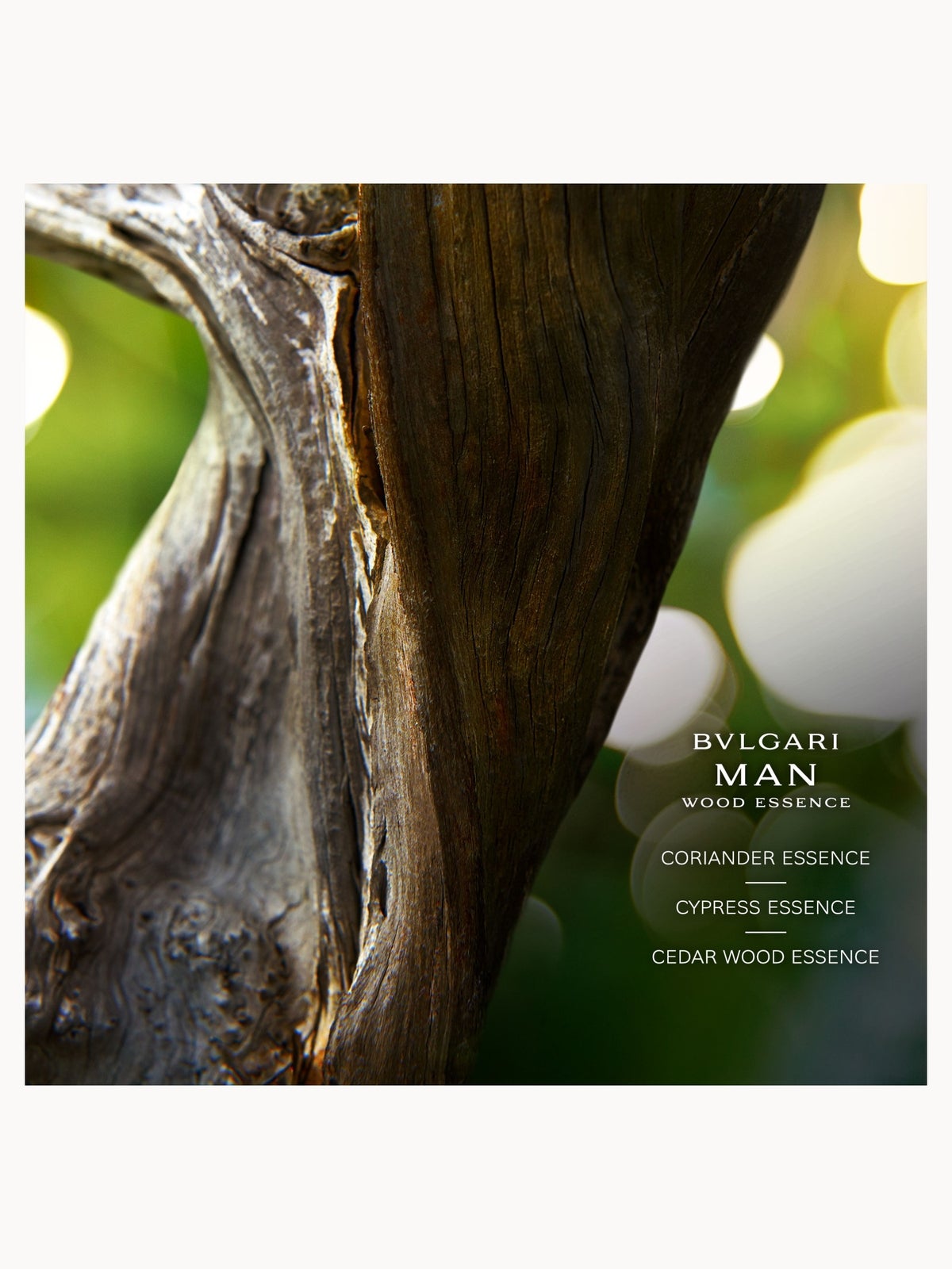 BVLGARI Man Wood Essence Eau de Parfum 150ml, photo 3