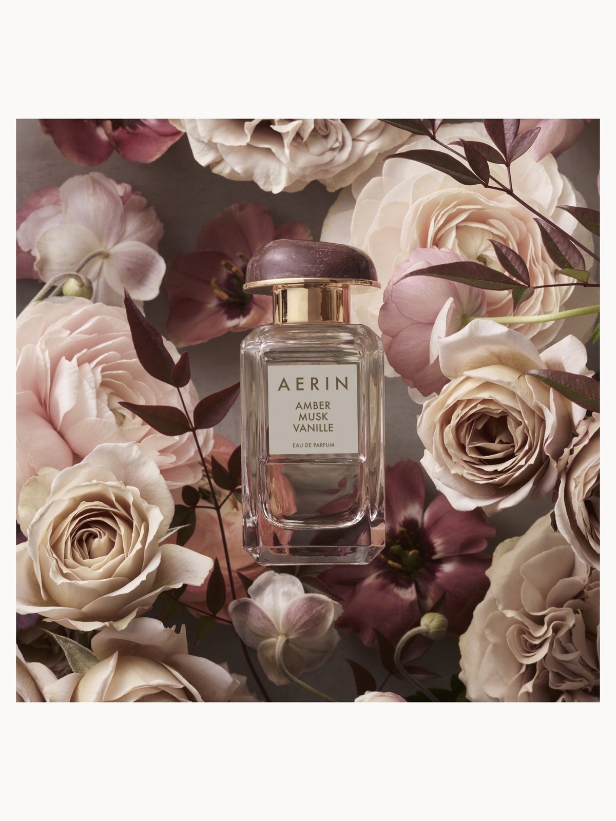AERIN Amber Musk Guimauve Eau de Parfum 50ml 2