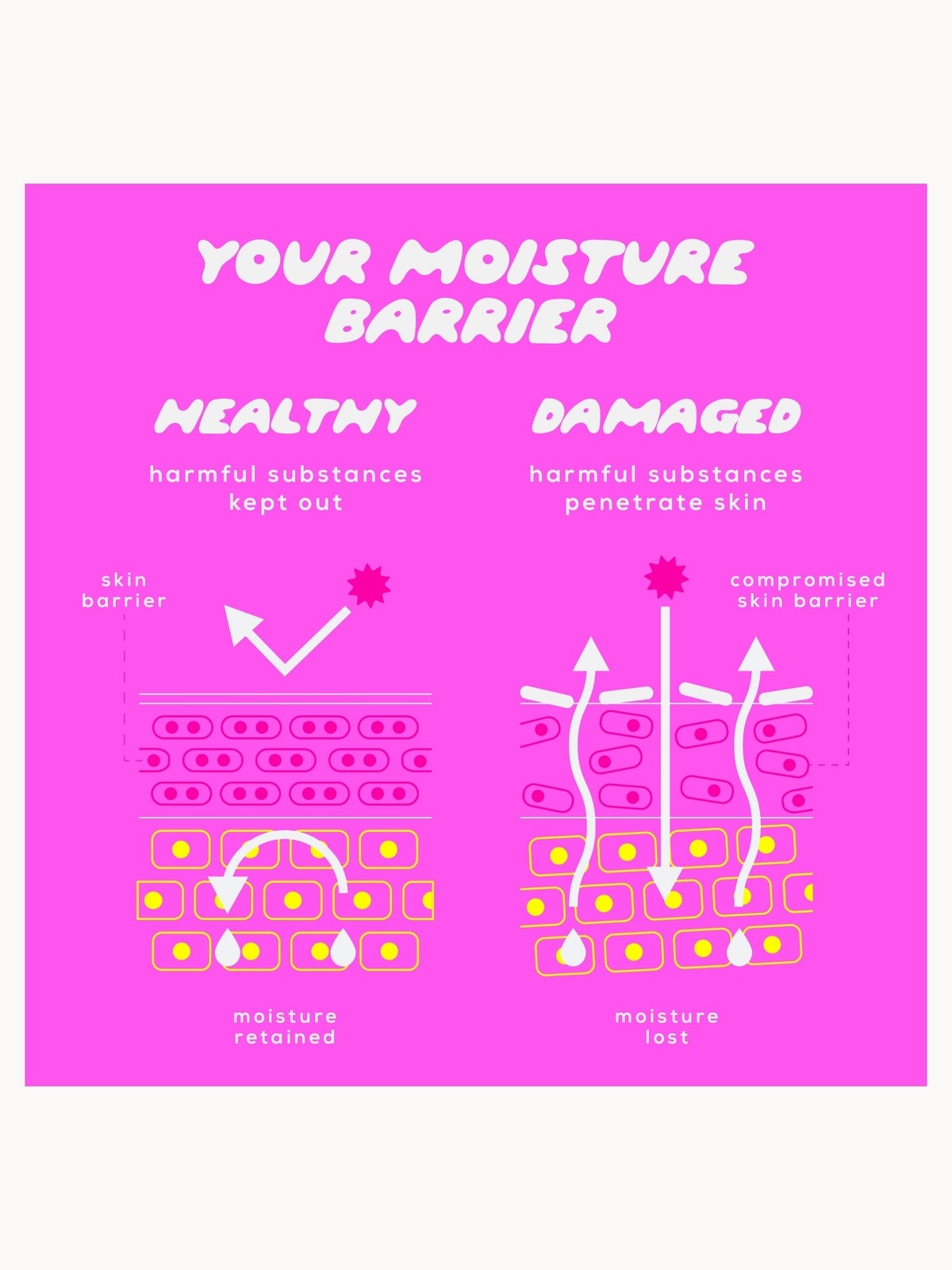 Glow Hub The Barrier Builder Ceramide Moisturiser 50g 4