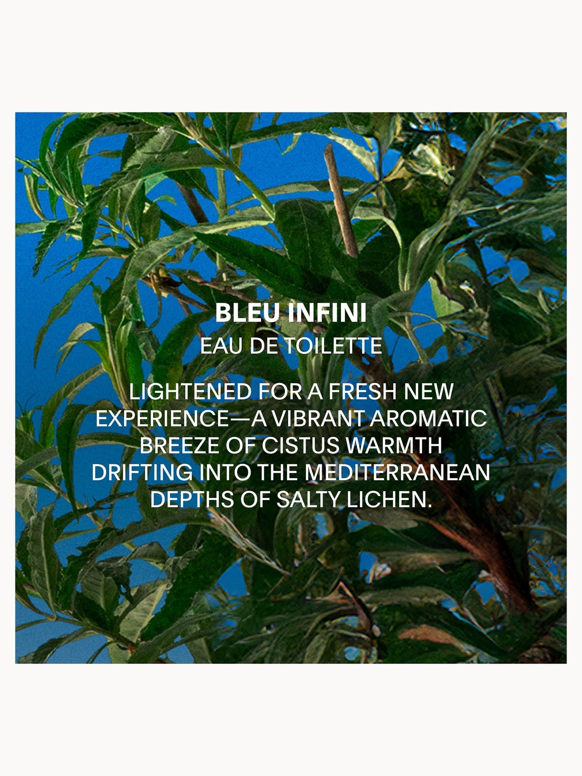 Balmain Beauty Bleu Infini Eau de Toilette 125ml 3