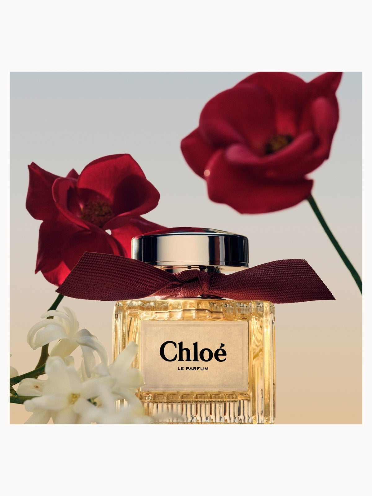 Chloé Le Parfum for Women 50ml 4