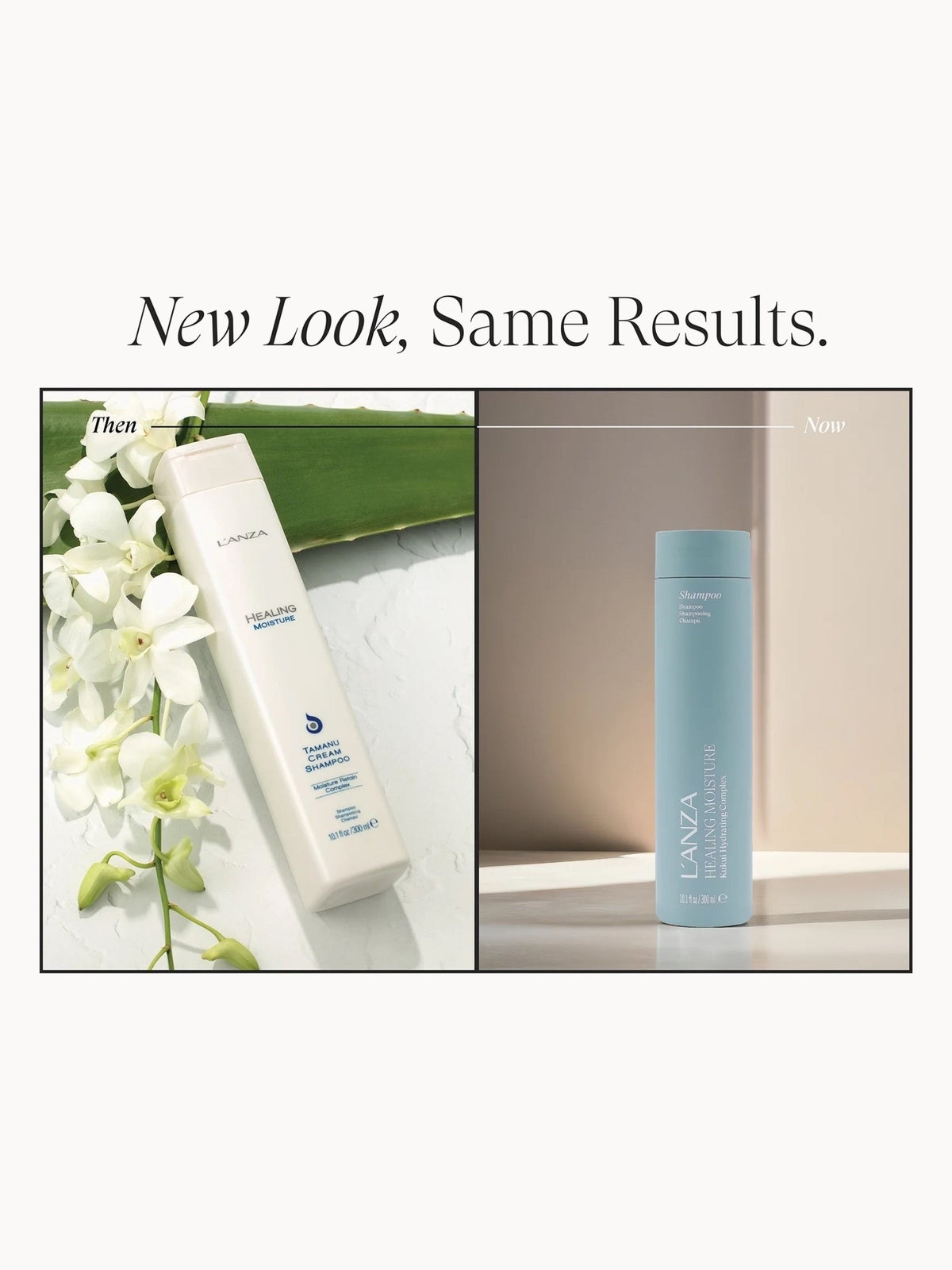 L'ANZA Healing Moisture Shampoo 300ml, photo 2