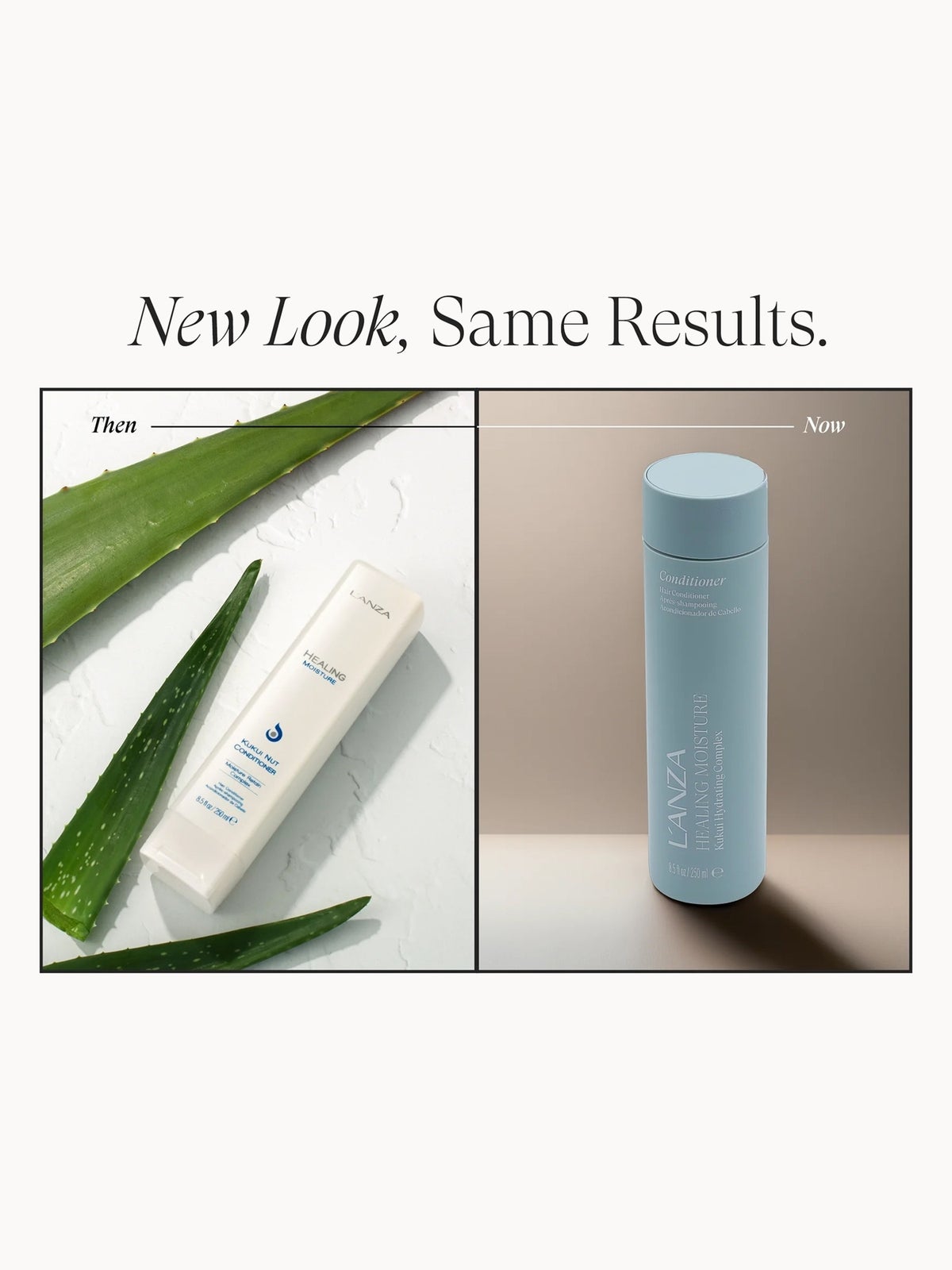 L'ANZA Healing Moisture Conditioner 250ml 2