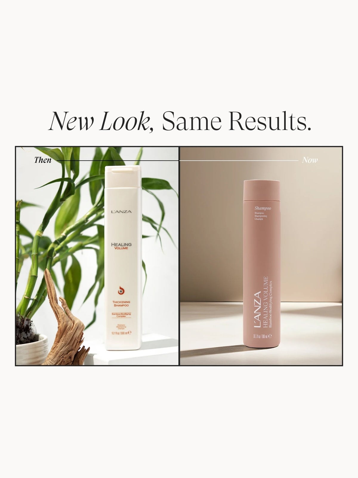 L'ANZA Healing Volume Shampoo 300ml 2