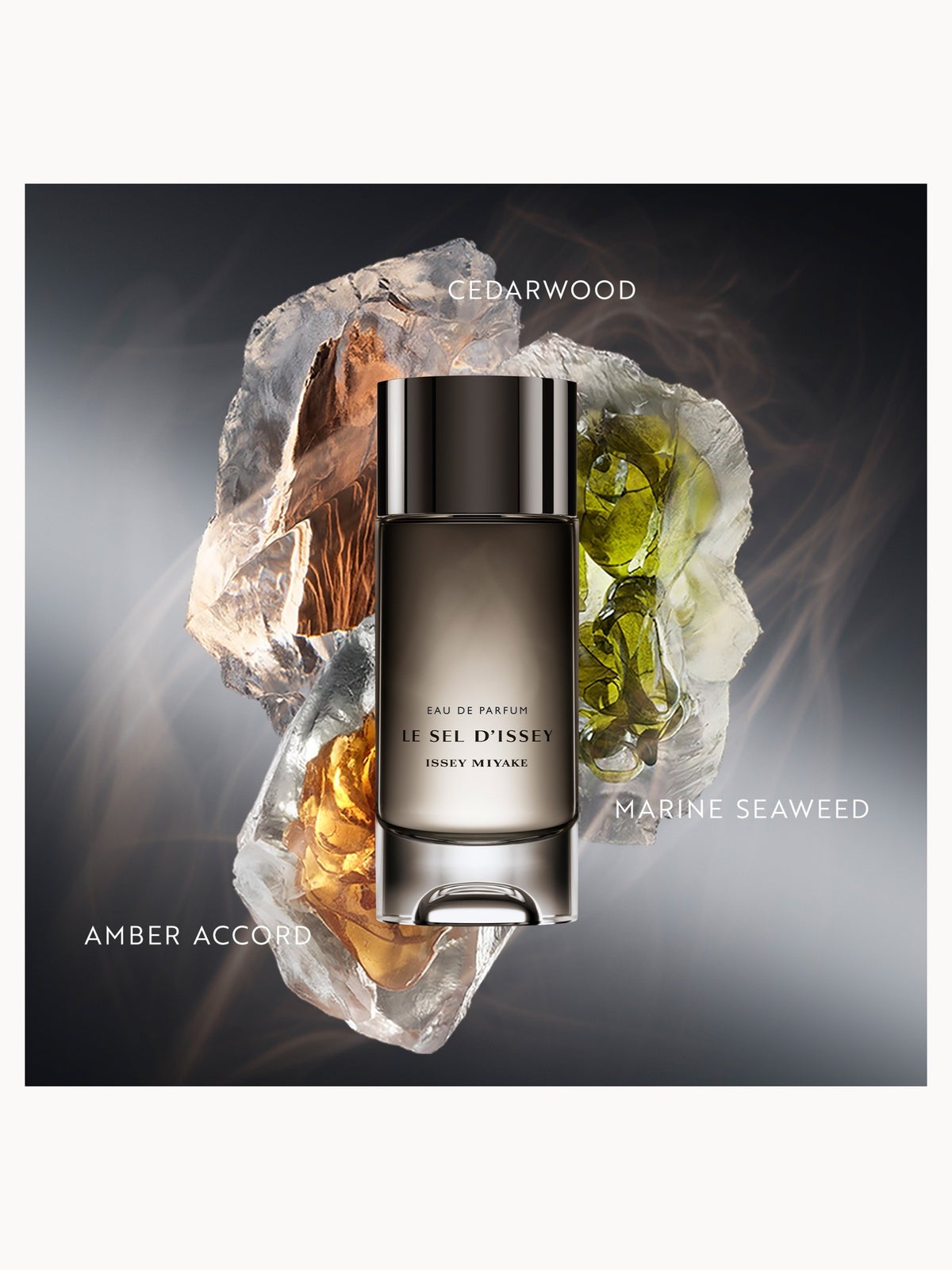 Le Sel d'Issey Eau de Parfum 50ml 2