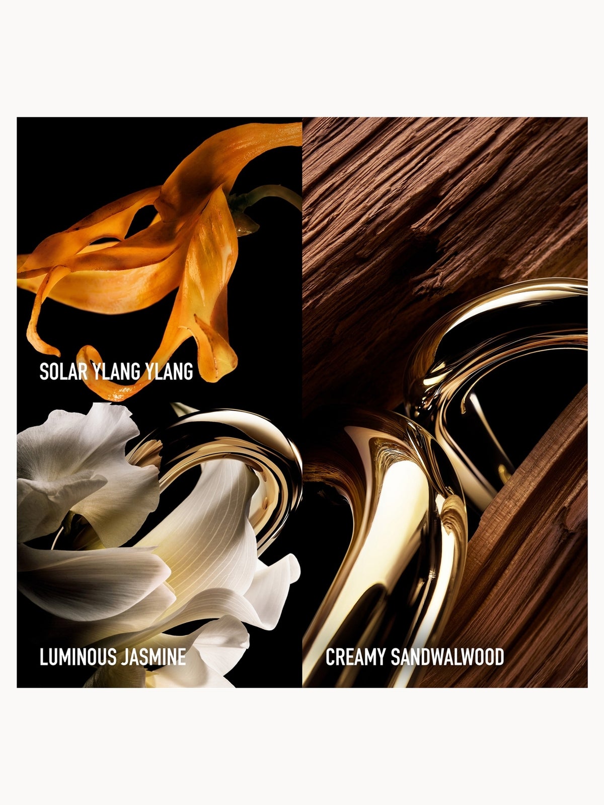 Rabanne Million Gold For Her Parfum 30ml 3