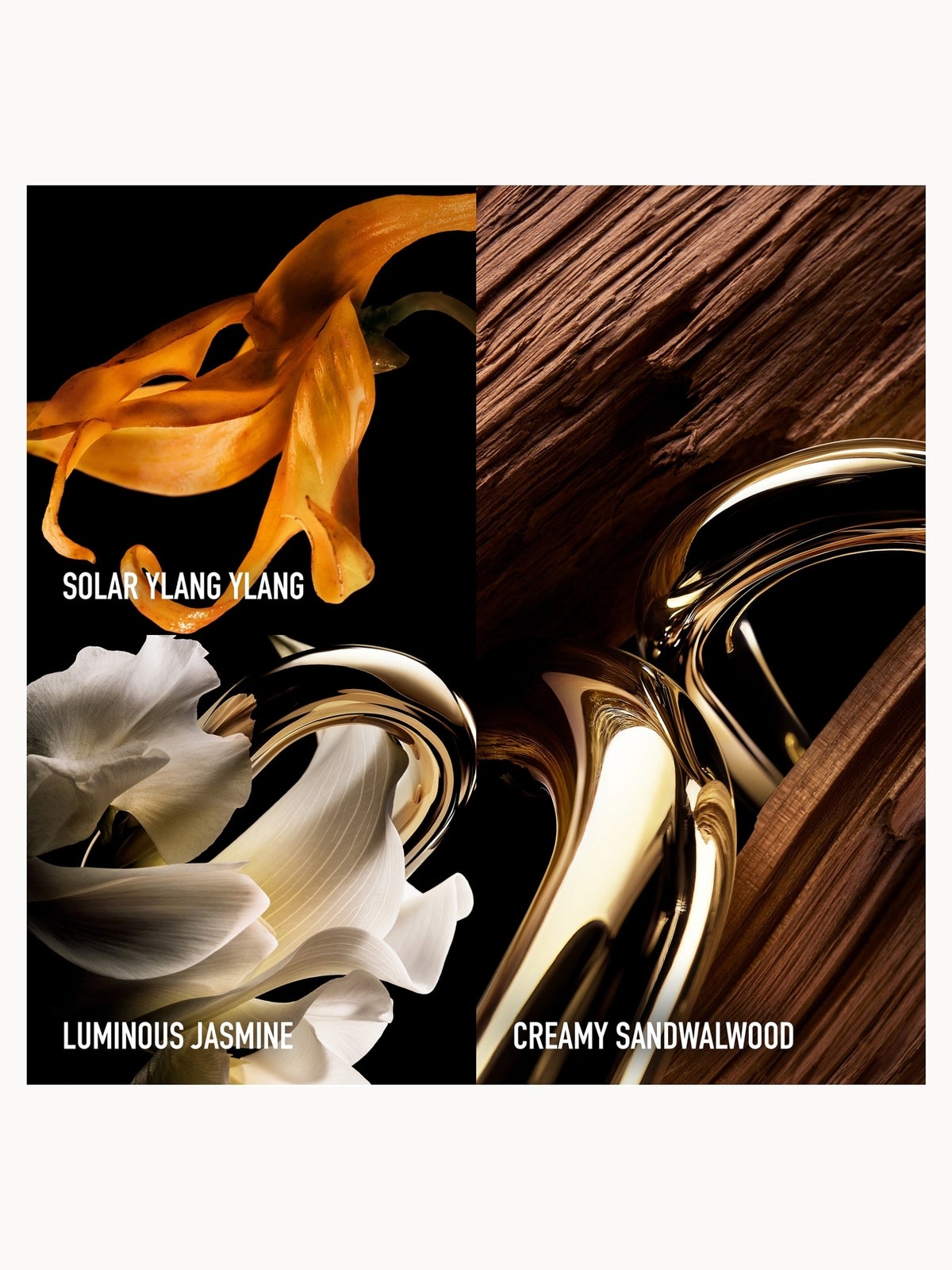 Rabanne Million Gold For Her Parfum 50ml 3