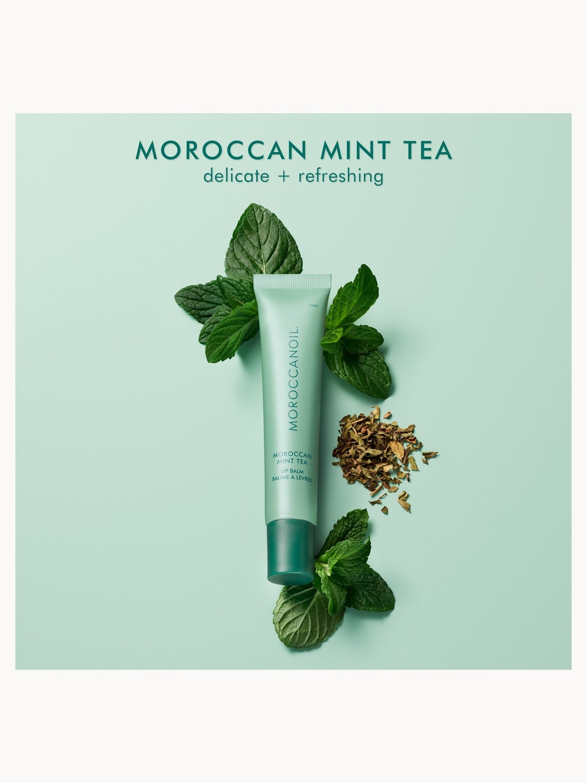 Moroccanoil Lip Balm - Moroccan Mint Tea 15g 2