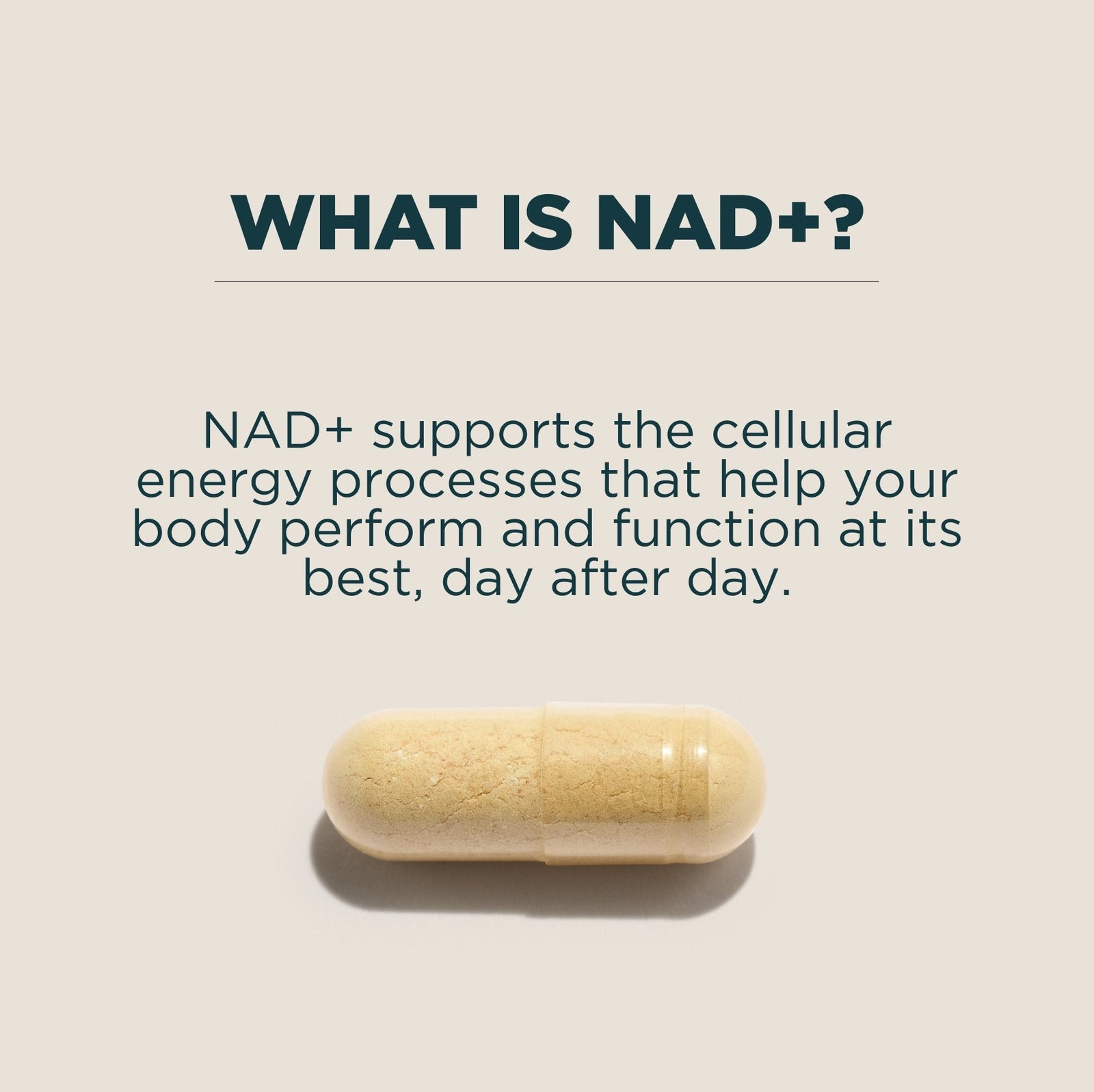 Myprotein NR NAD+ Precursor Capsules - 30 Capsules, 30servings - Unflavoured