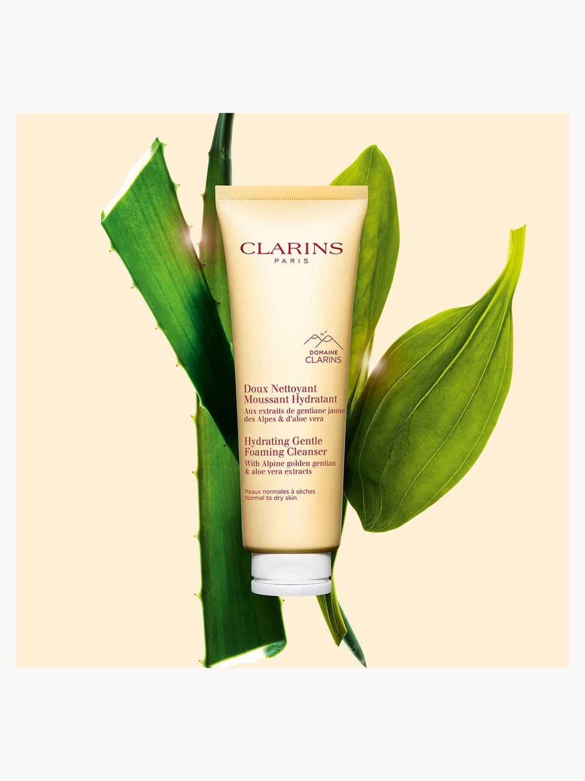 Clarins Hydrating Gentle Foaming Cleanser 125ml, photo 2