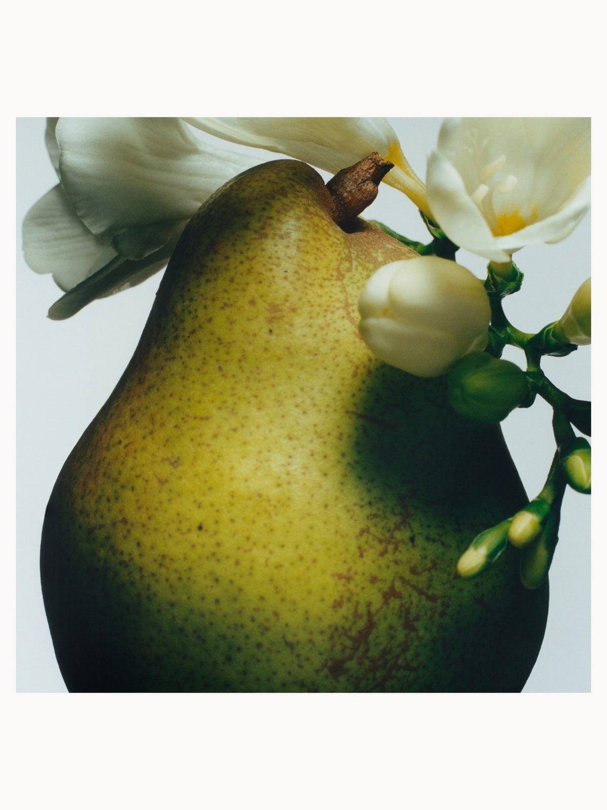 Jo Malone London Special Edition English Pear & Freesia Hand Cream 30ml 2