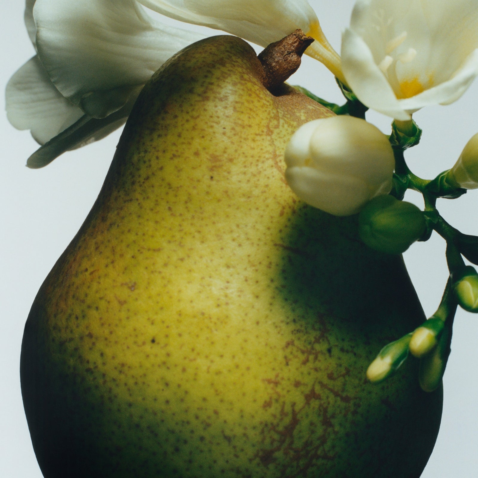 Jo Malone London Special Edition English Pear & Freesia Hand Cream 30ml 2