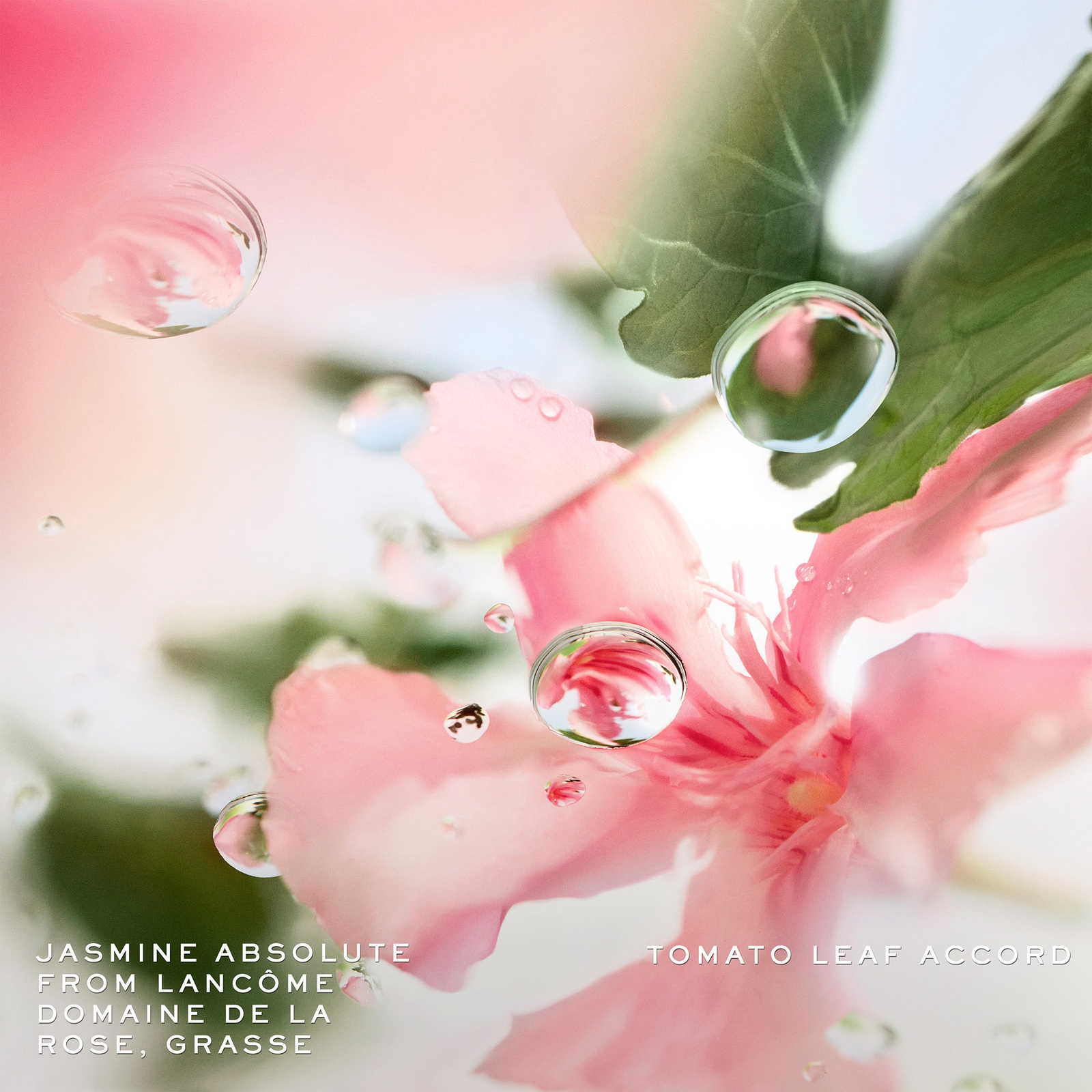 Thumbnail - Lancôme Ôver The Top Eau de Toilette 100ml