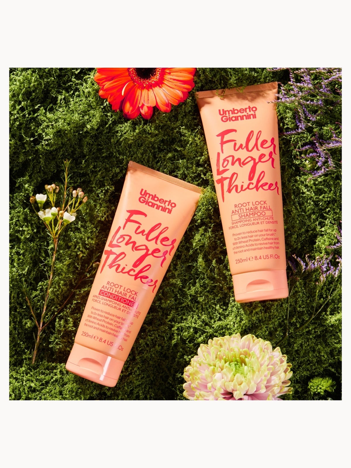 Umberto Giannini Fuller, Longer, Thicker Conditioner 250ml 2