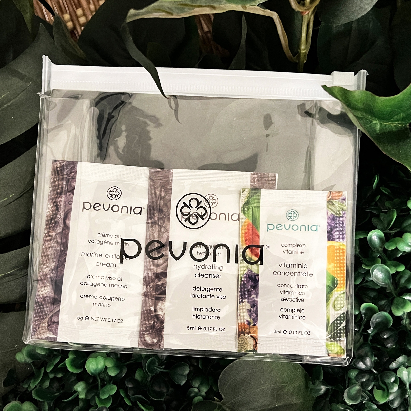 Pevonia Favorites Sampler Set