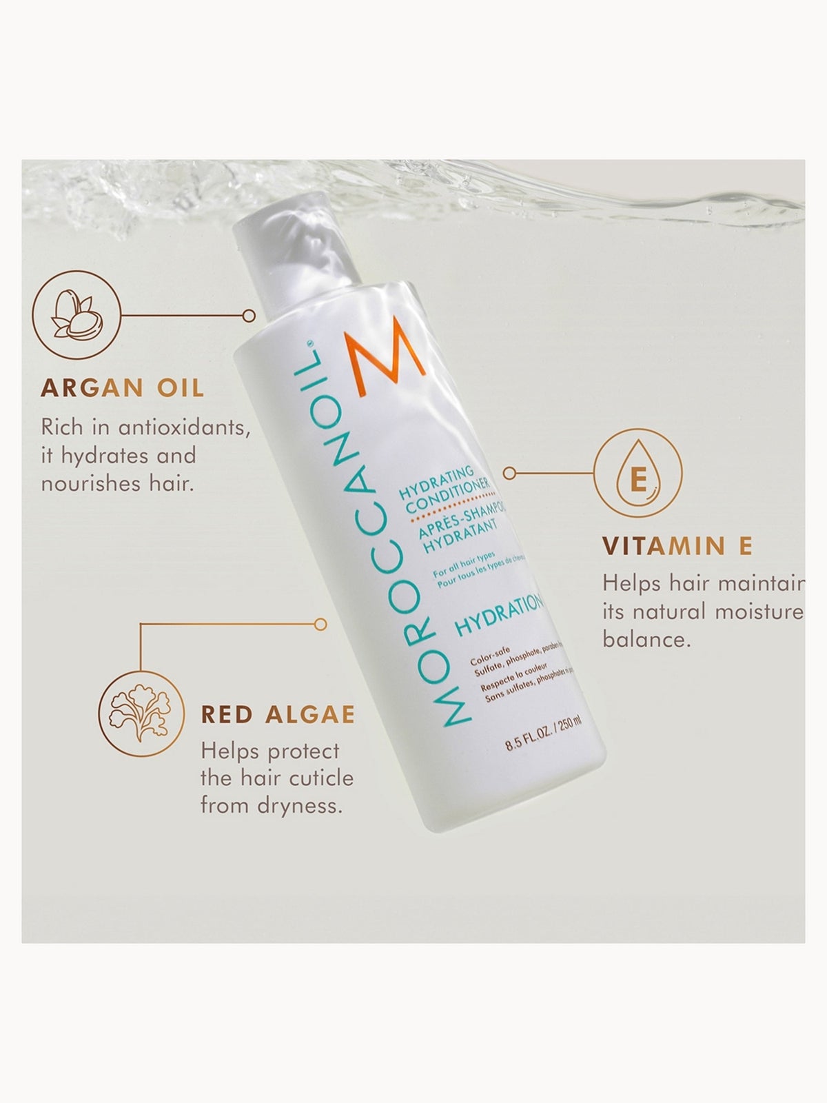Moroccanoil Hydration Shampoo and Conditioner Set + Free Leave in Conditioner 50ml (Worth £53) 4
