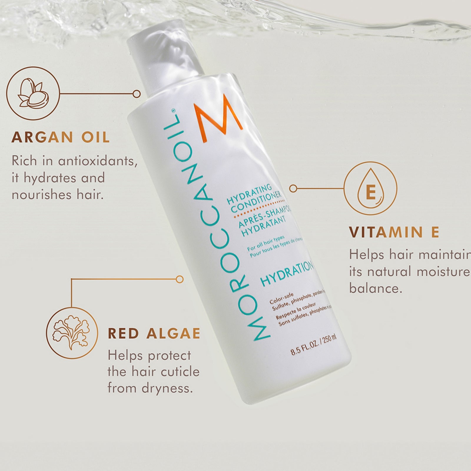 Moroccanoil Hydration Shampoo and Conditioner Set + Free Leave in Conditioner 50ml (Worth £53) 4