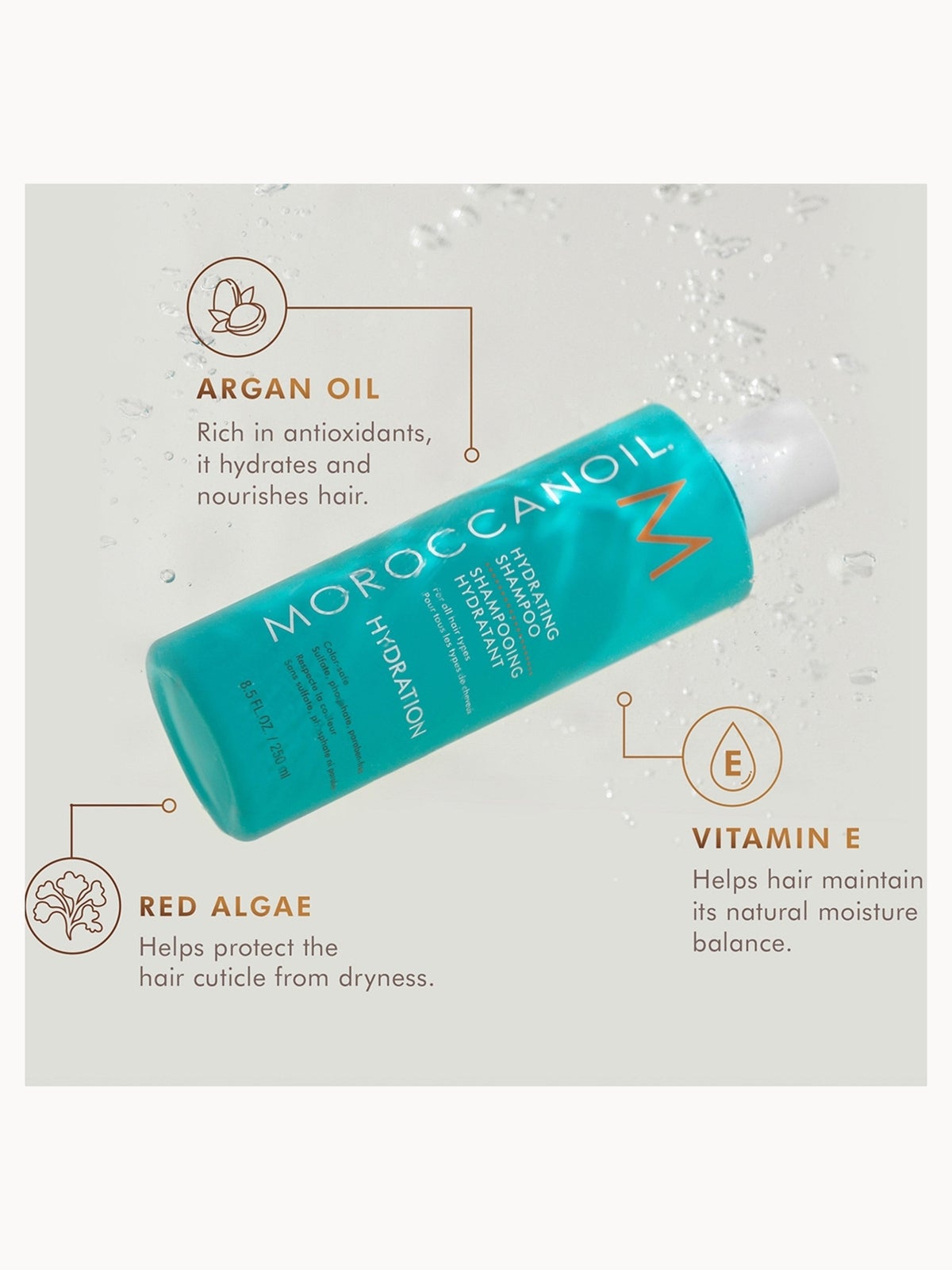 Moroccanoil Hydration Shampoo and Conditioner Set + Free Leave in Conditioner 50ml (Worth £53) 3