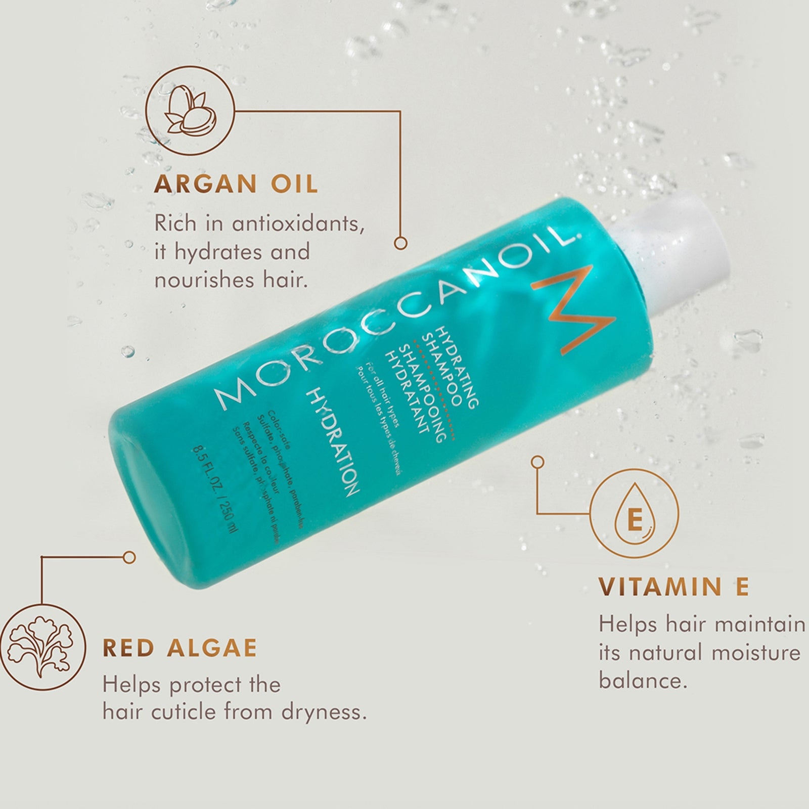 Moroccanoil Hydration Shampoo and Conditioner Set + Free Leave in Conditioner 50ml (Worth £53) 3