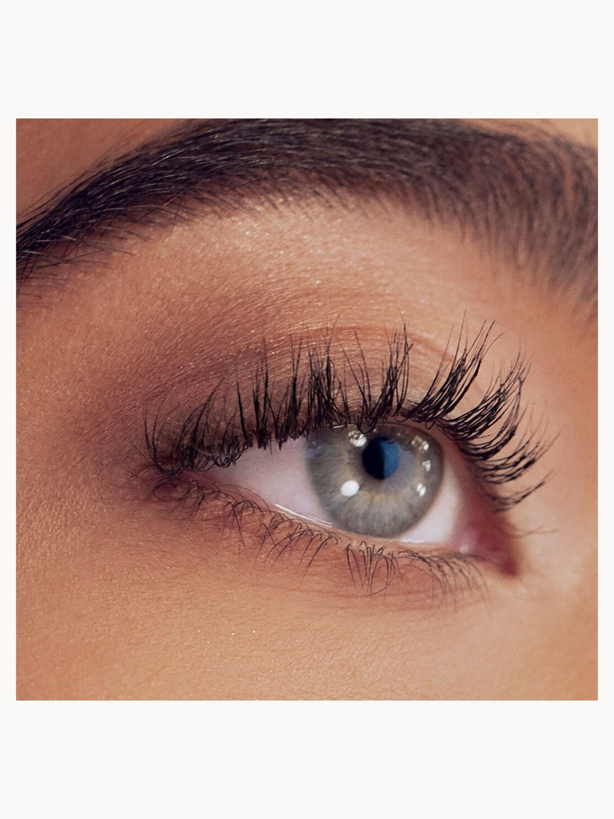 RevitaLash Travel Size Brow and Lash Bundle 3